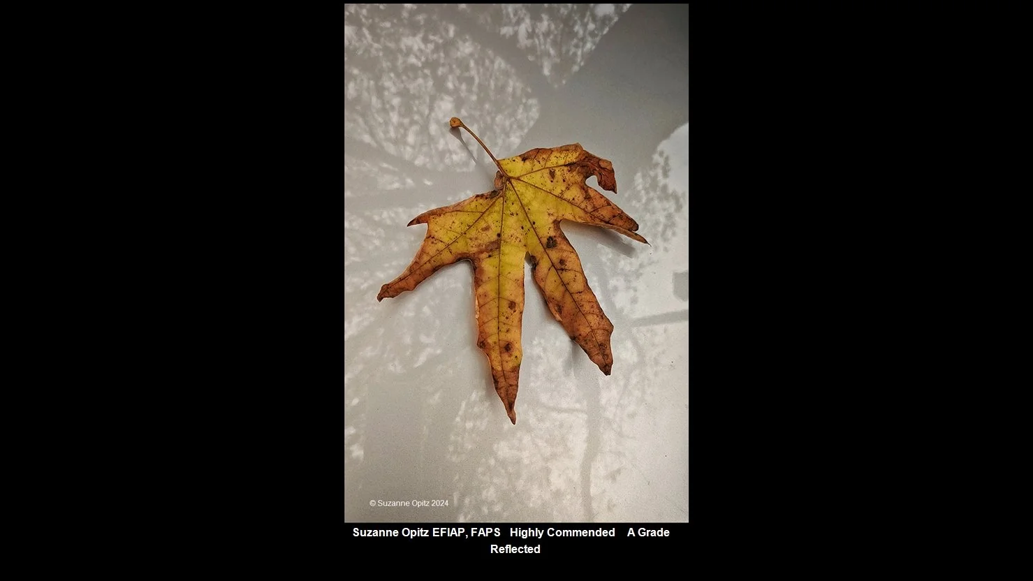 00025A Grade$.jpg