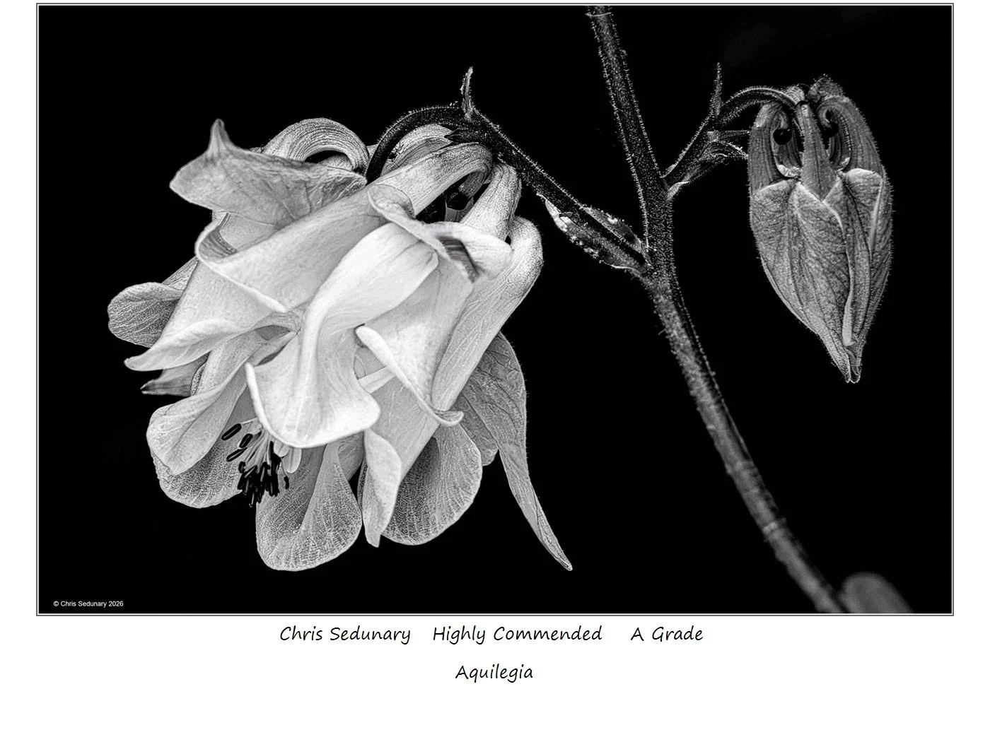 00047A Grade$.jpg