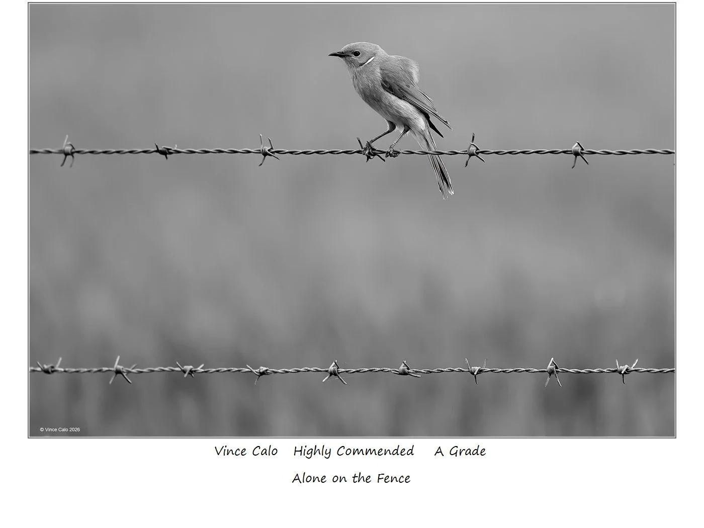 00059A Grade$.jpg