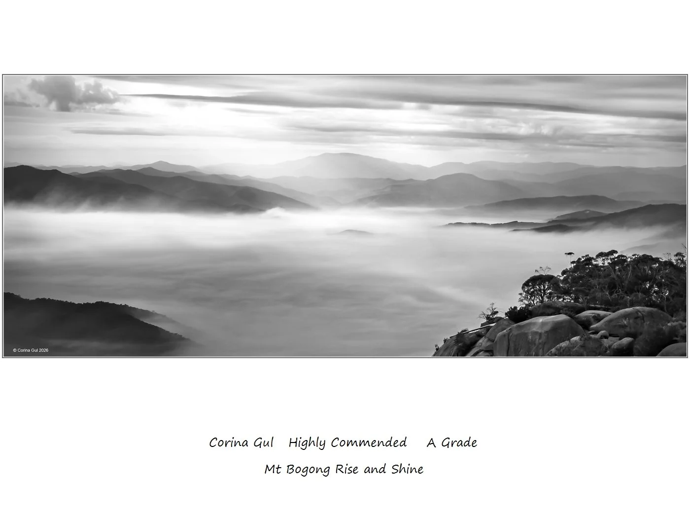 00049A Grade$.jpg