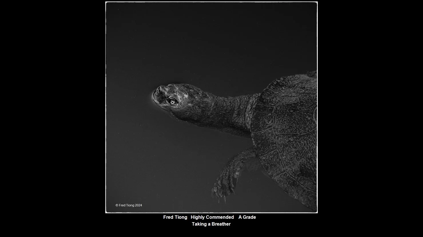 00034A Grade$.jpg