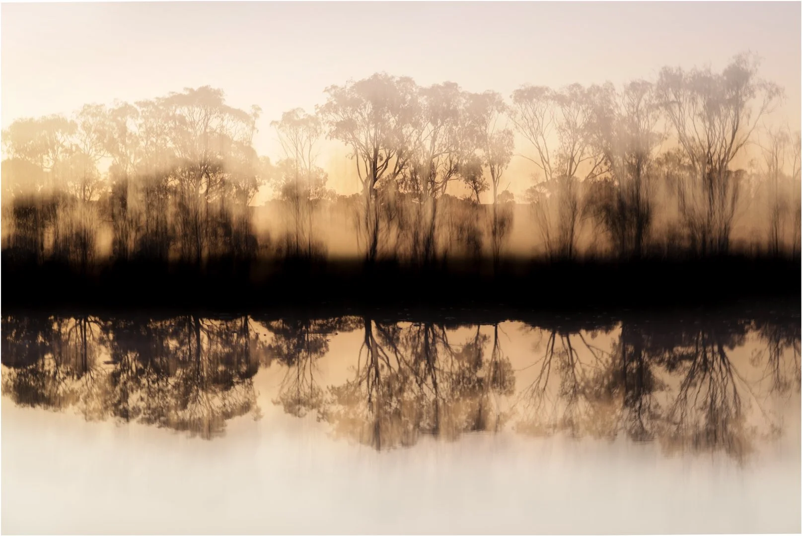 Denise Trewartha, Double Silhouette,.jpg