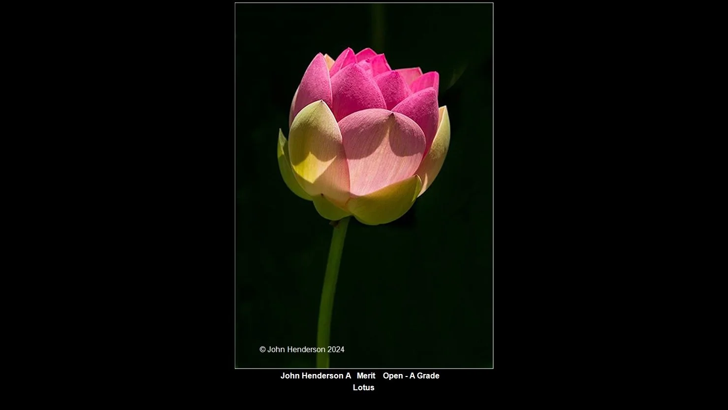 00018Open - A Grade$.jpg