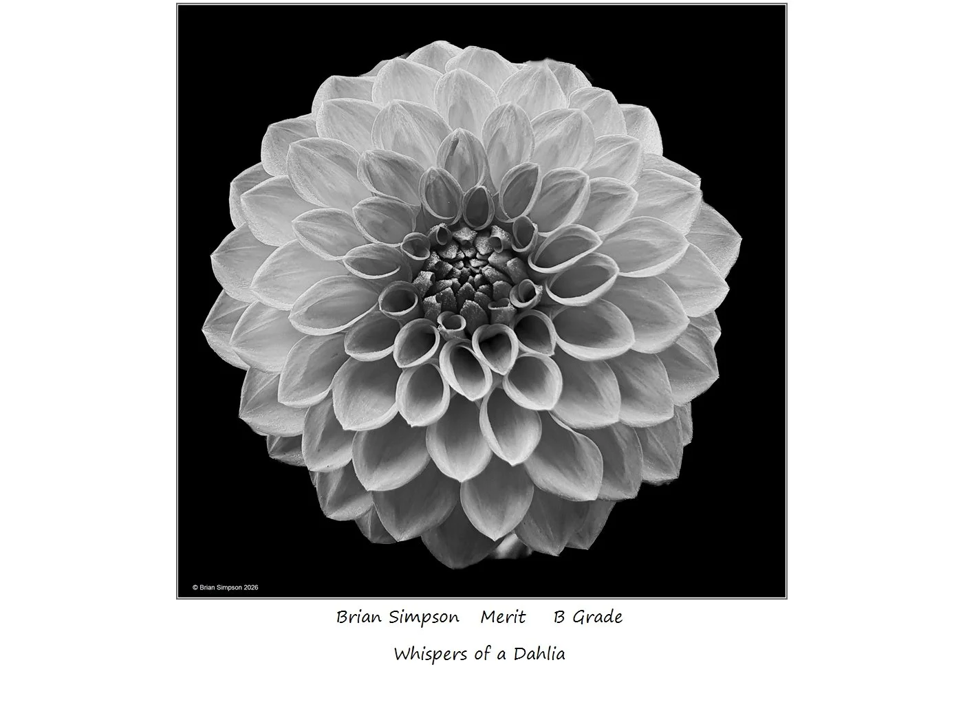 00023B Grade$.jpg