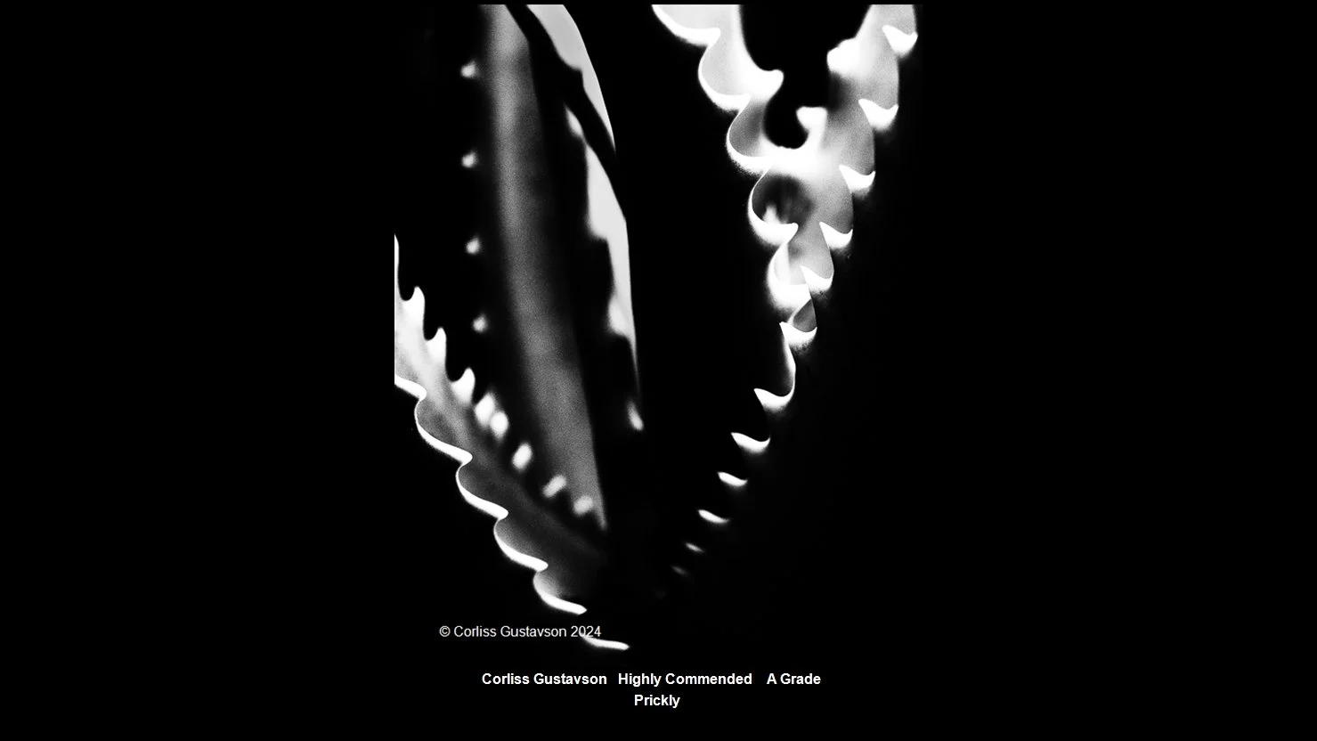 00039A Grade$.jpg
