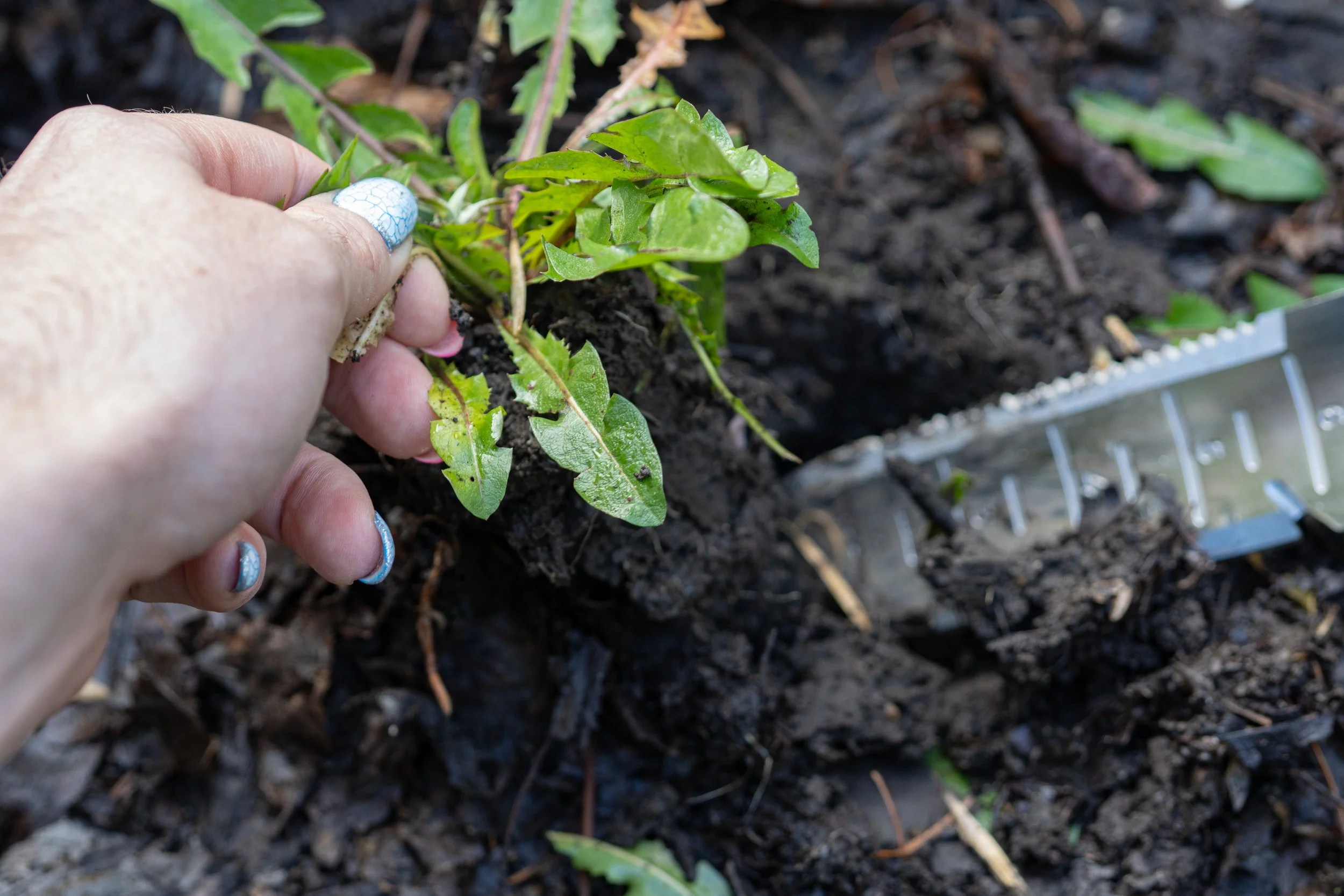 The Right Tools For Spring