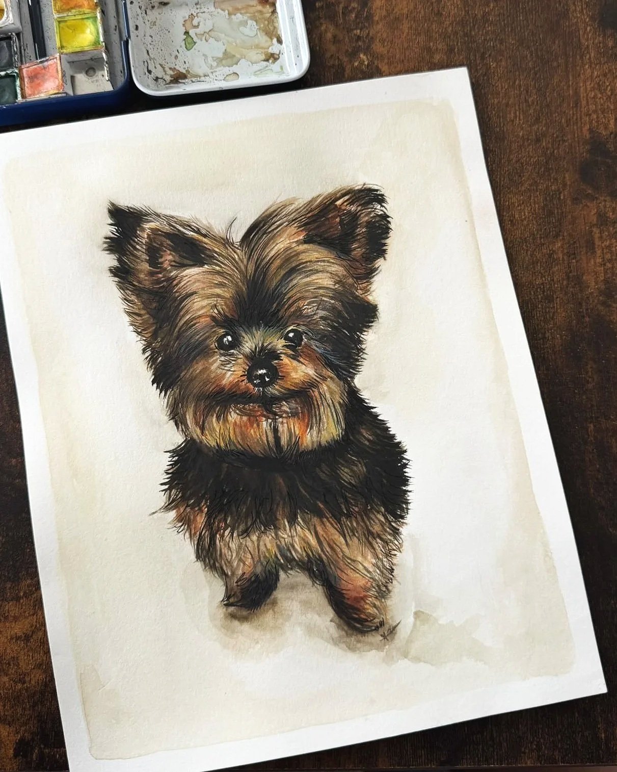 Pet+portrait1.jpg