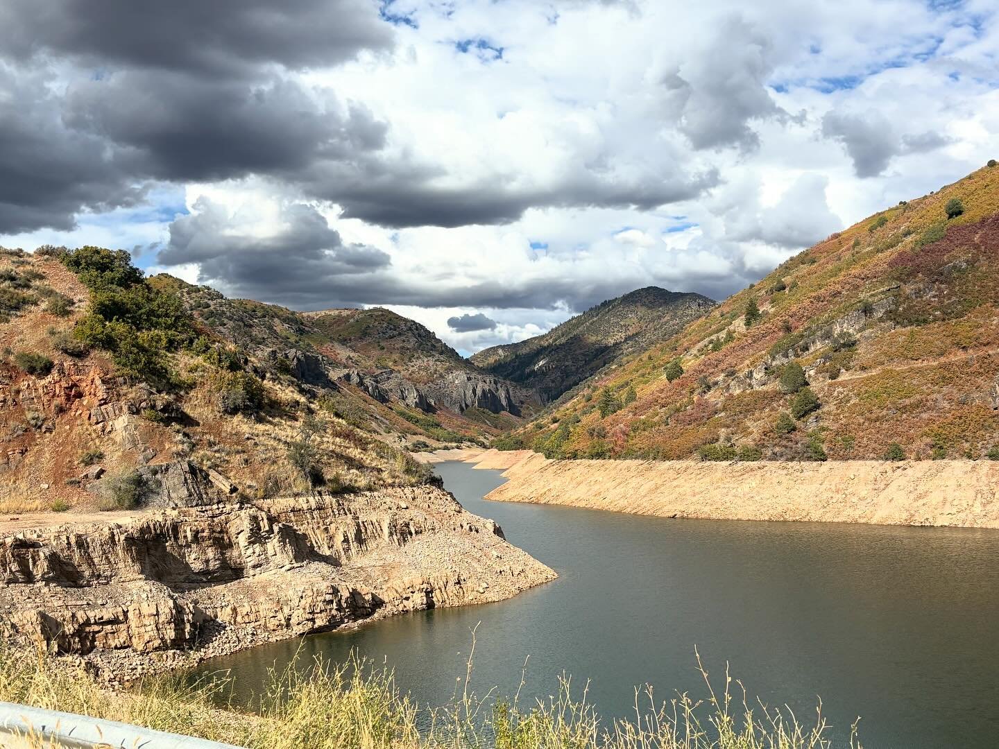 Intro to fall 🍁