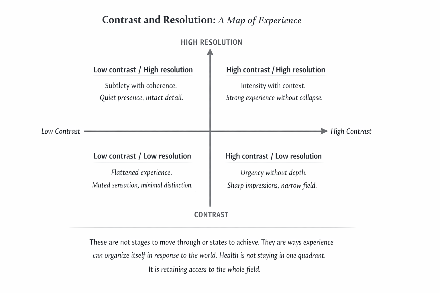 Psychedelic Integration