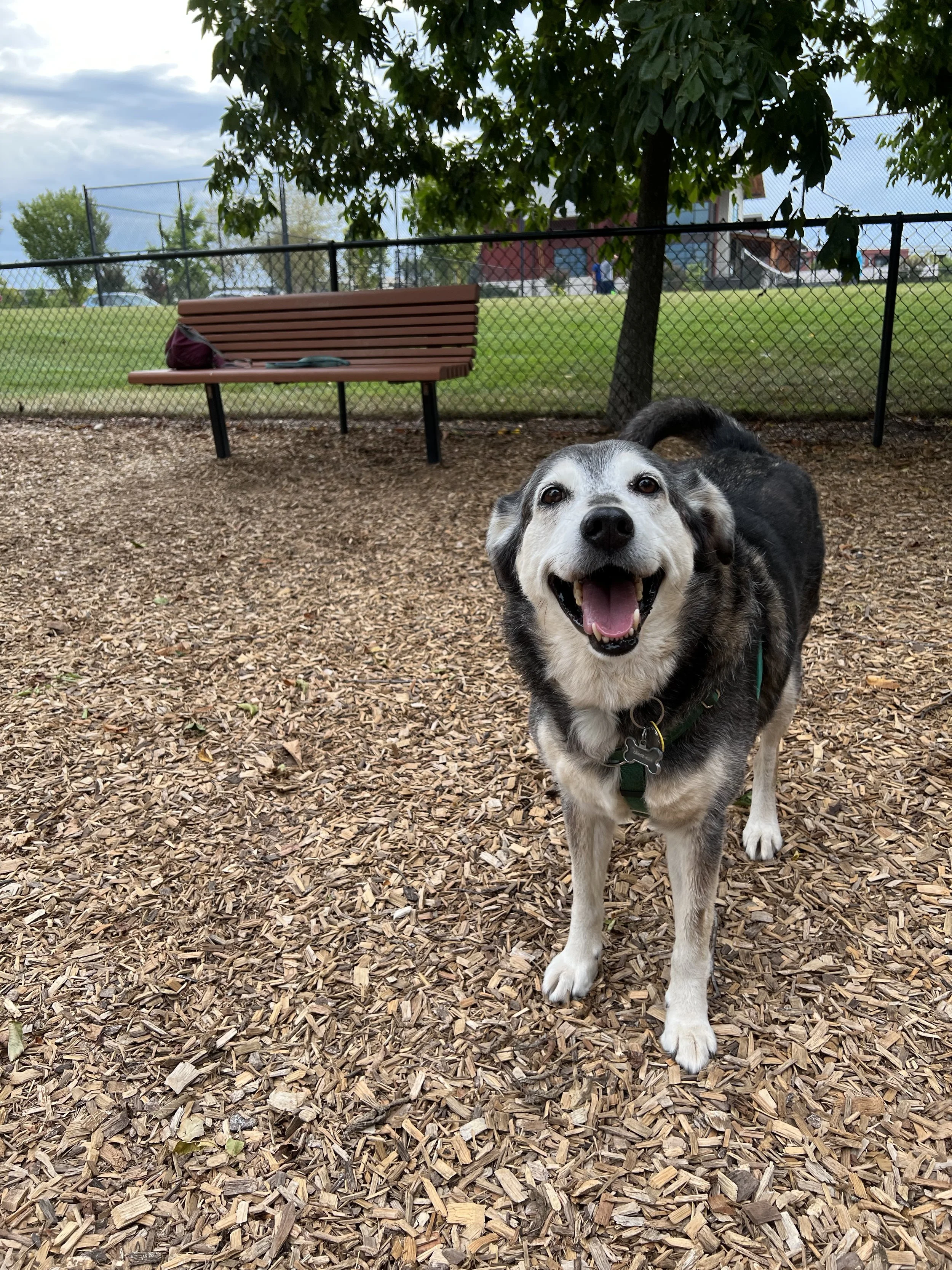 IMG_3254.jpeg