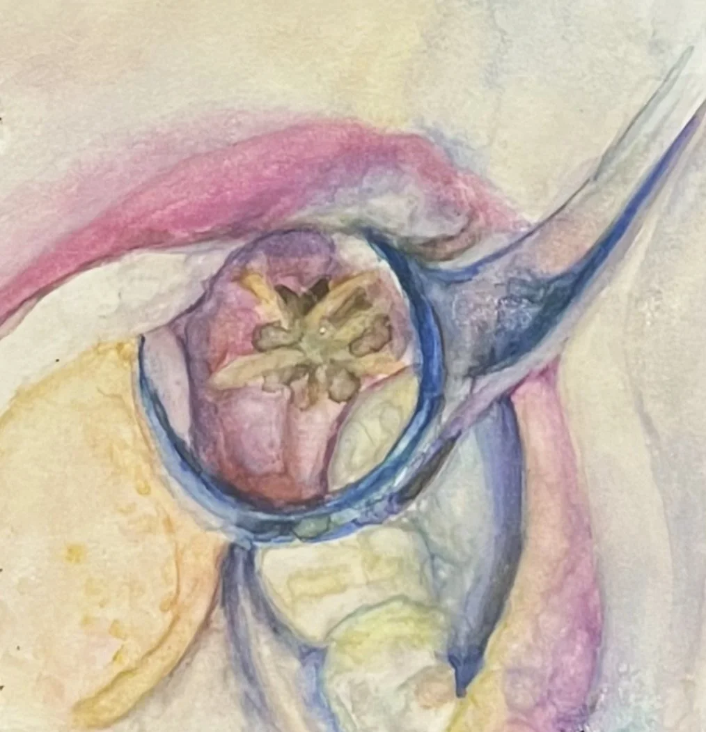 Tooth Extraction (2023) 
4" x 4"
Gouache on Paper 