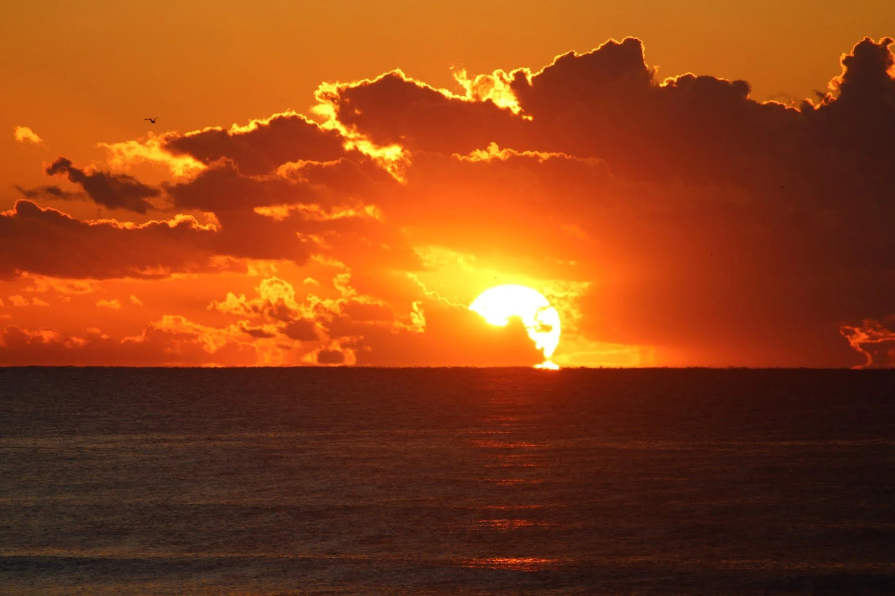 Sun partially blocked by cloud.edit.jpg