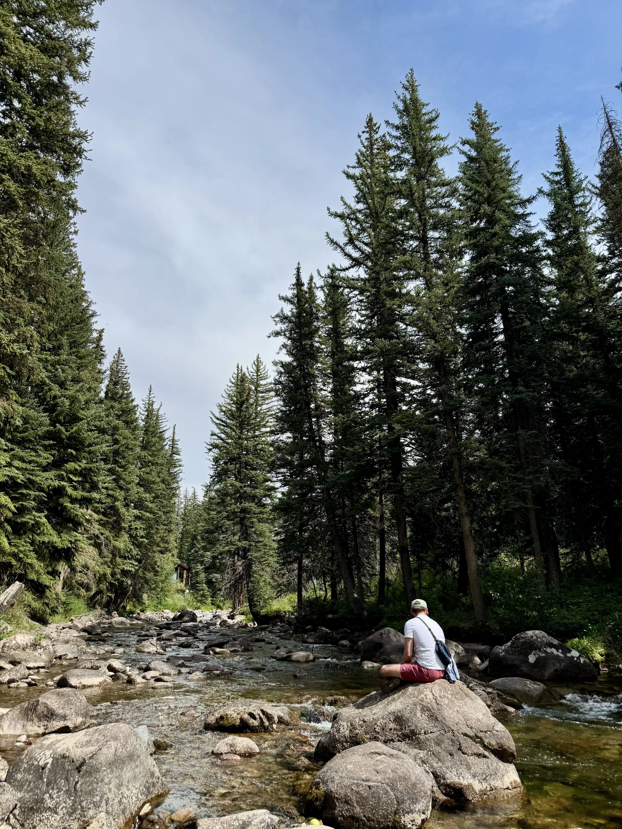 therapist sitting on a rock in a middle of a mountain stream surrounded by evergreen trees