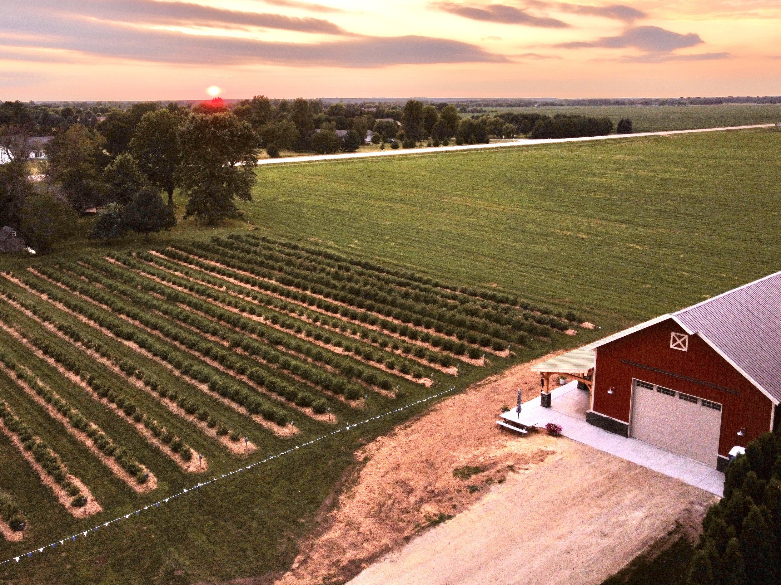dji_fly_20250711_204904_463_1752285163239_photo_optimized.jpg