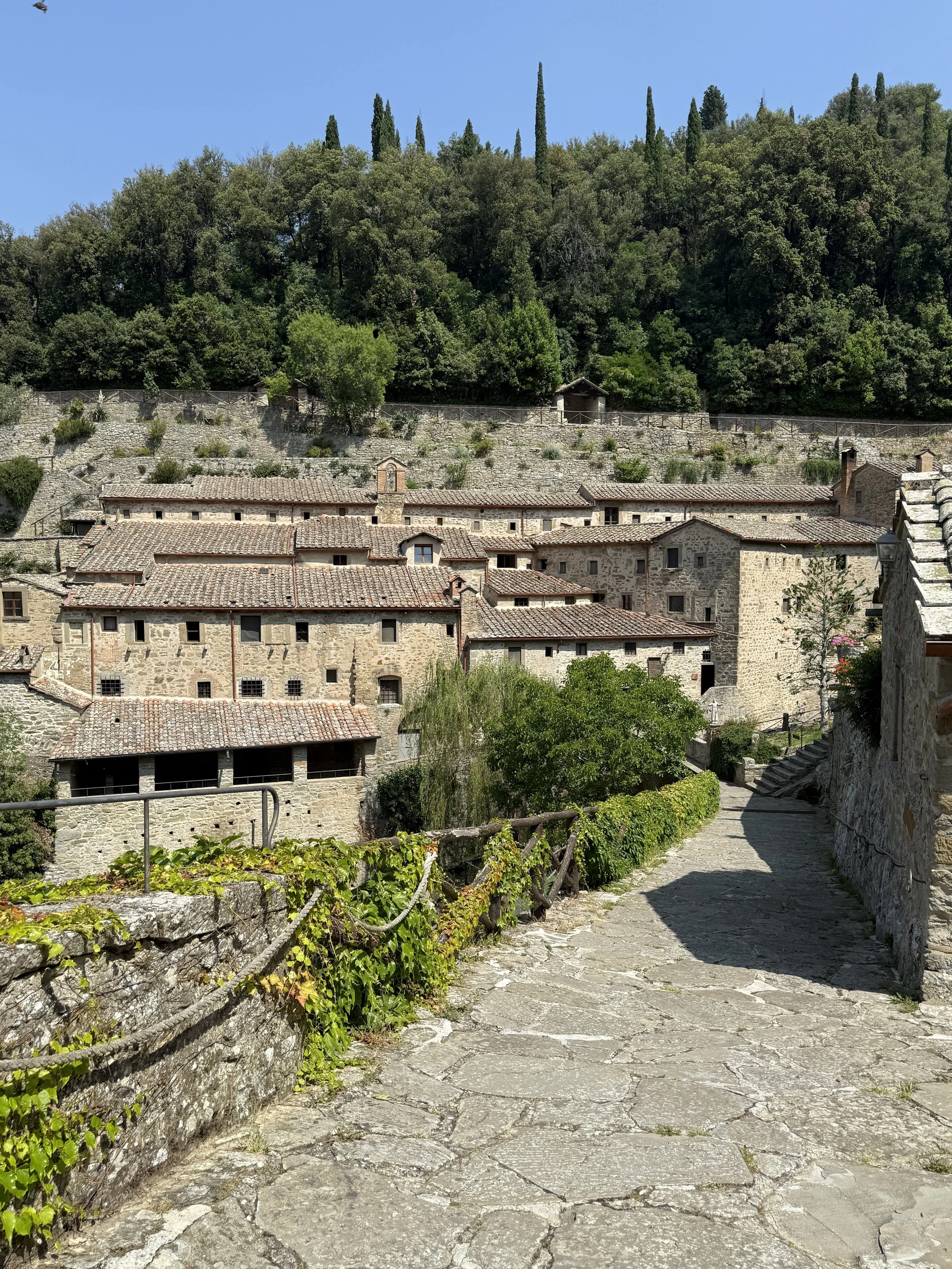 IMG_7802.jpeg