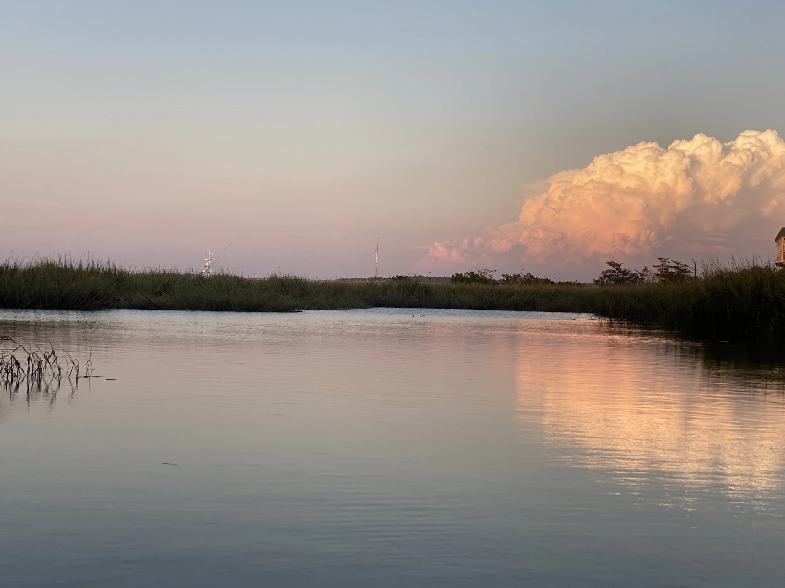 Quiet Reflections