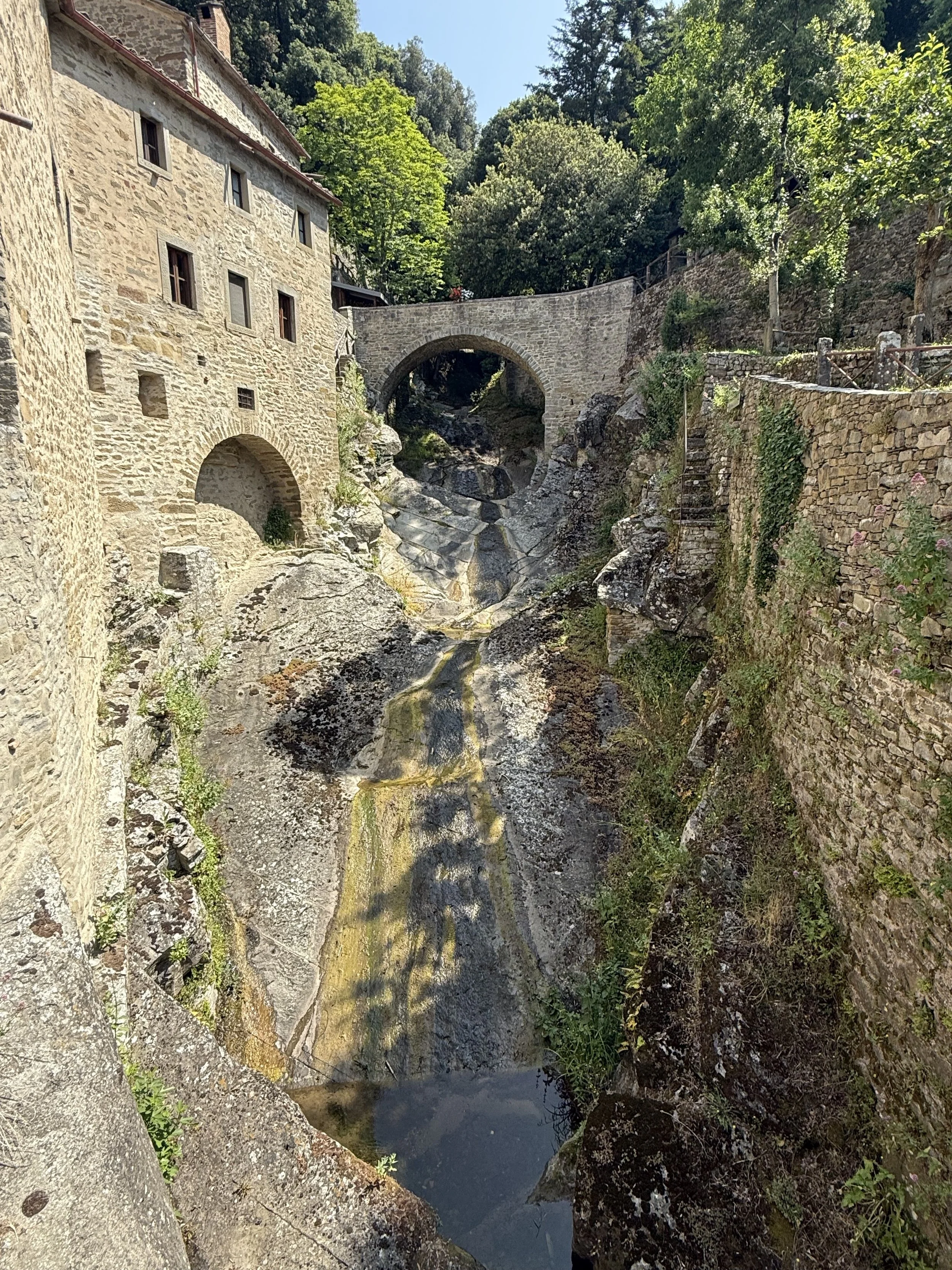 IMG_7804.jpeg