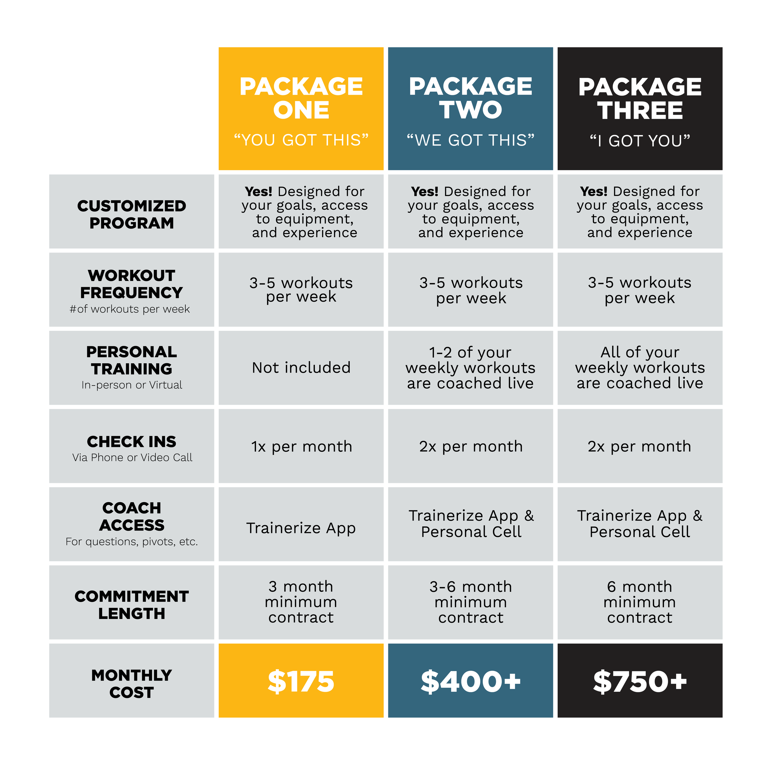 Comparison chart of three fitness programs titled 'You Got This,' 'We Got This,' and 'I Got You,' outlining features like customized programs, workout frequency, personal training, check-ins, coach access, commitment length, and monthly cost.
