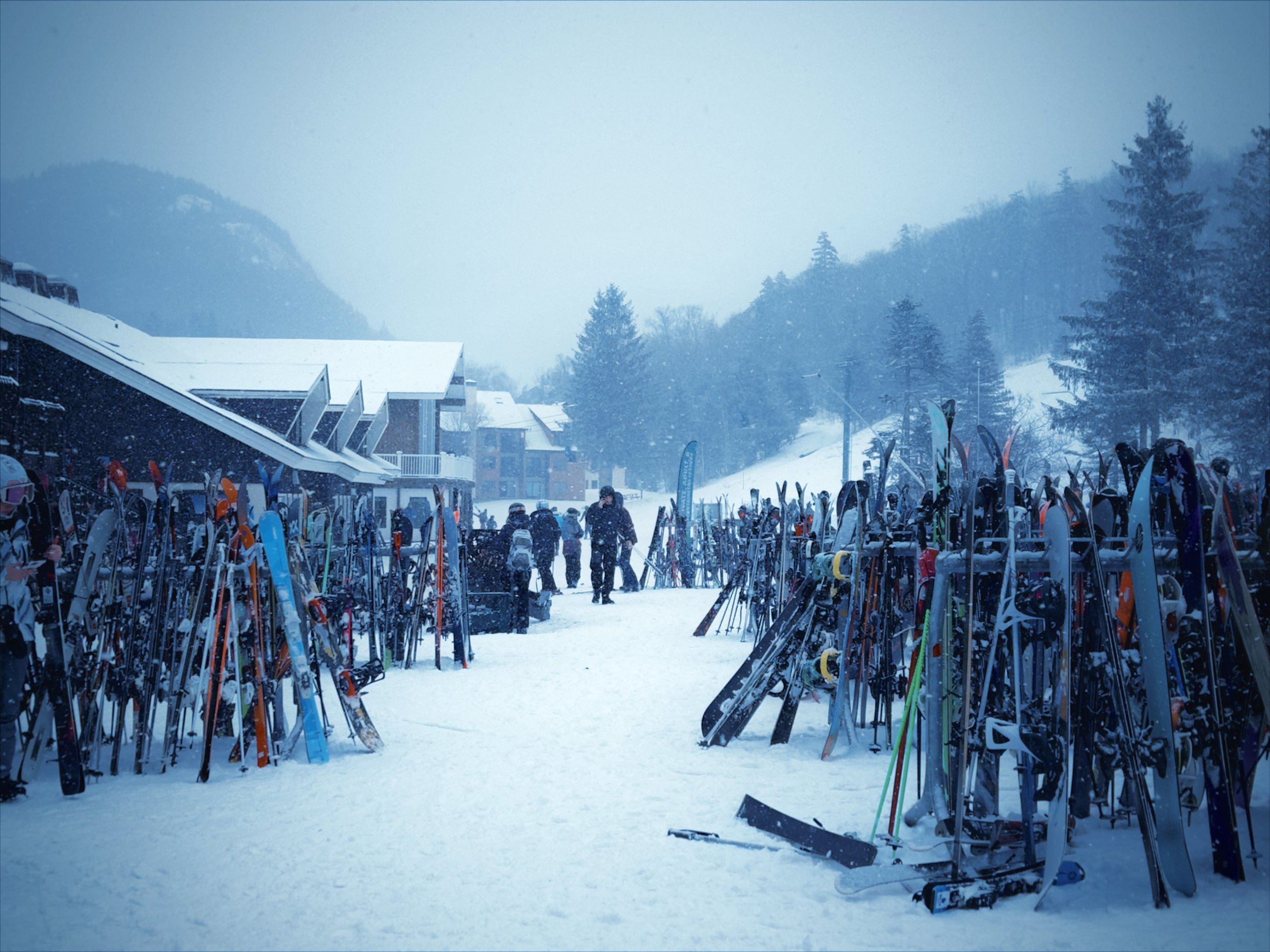 fxn 2026-01-17 115500.007.jpeg