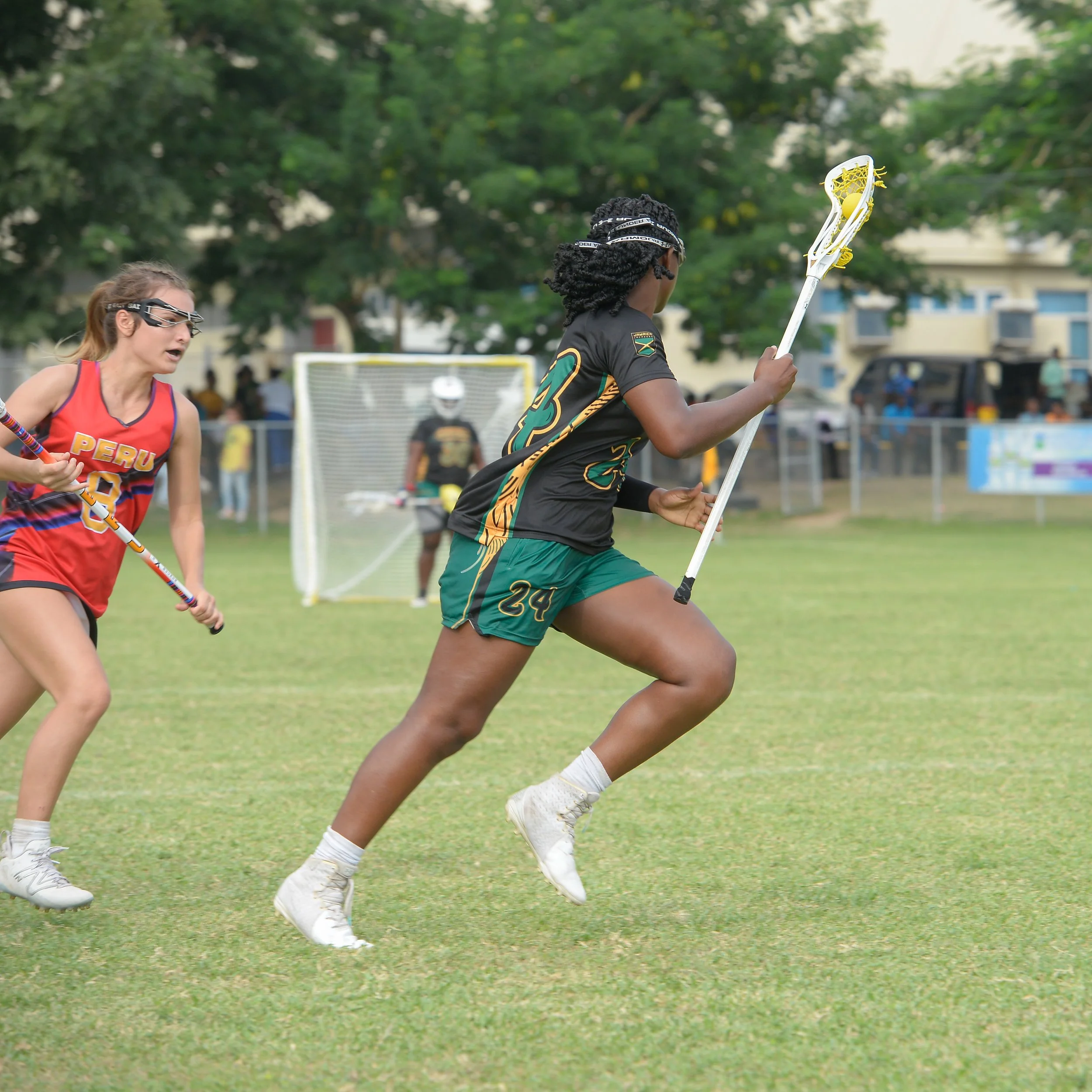 Jamaica Lacrosse