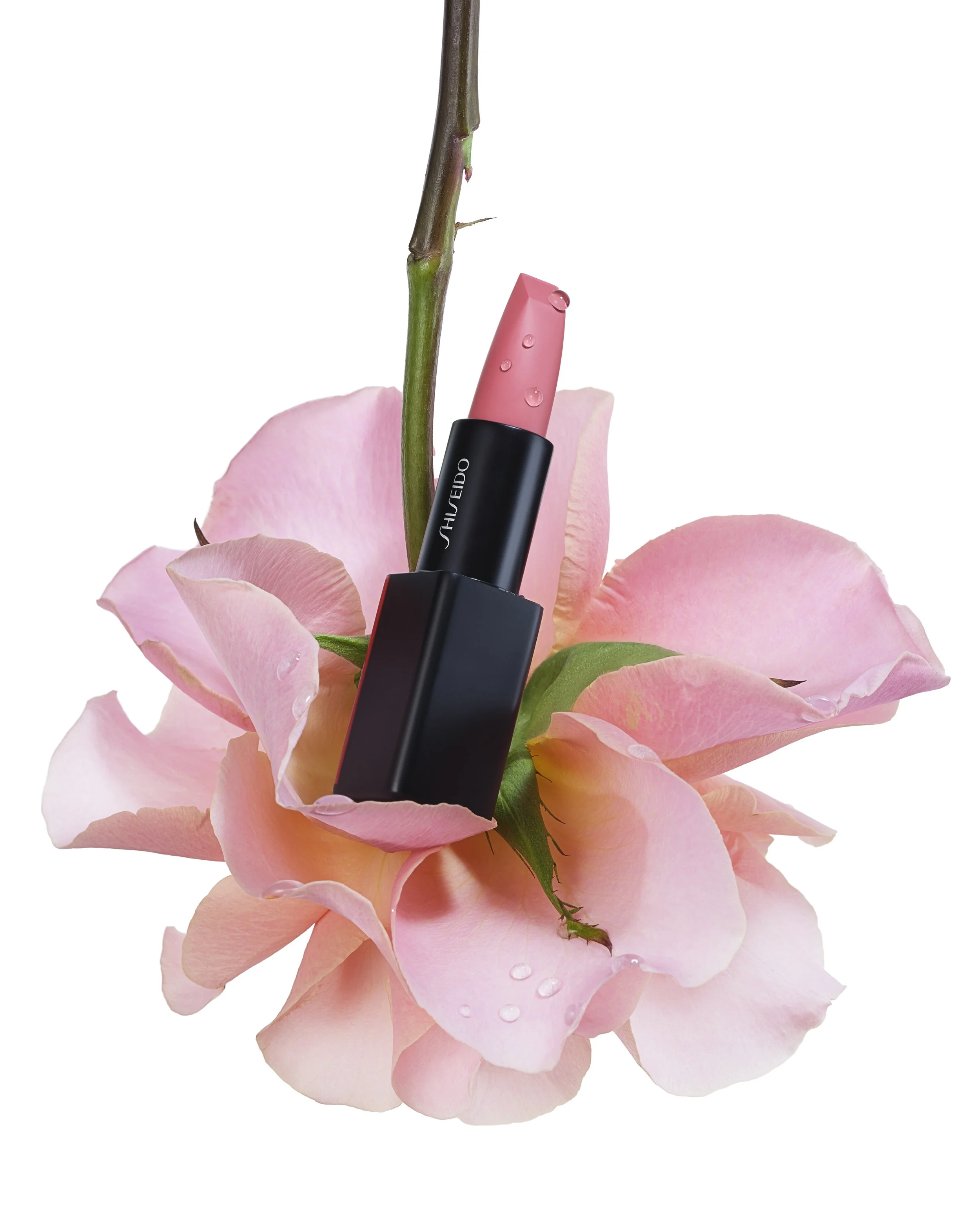 розовая роза 2.jpg