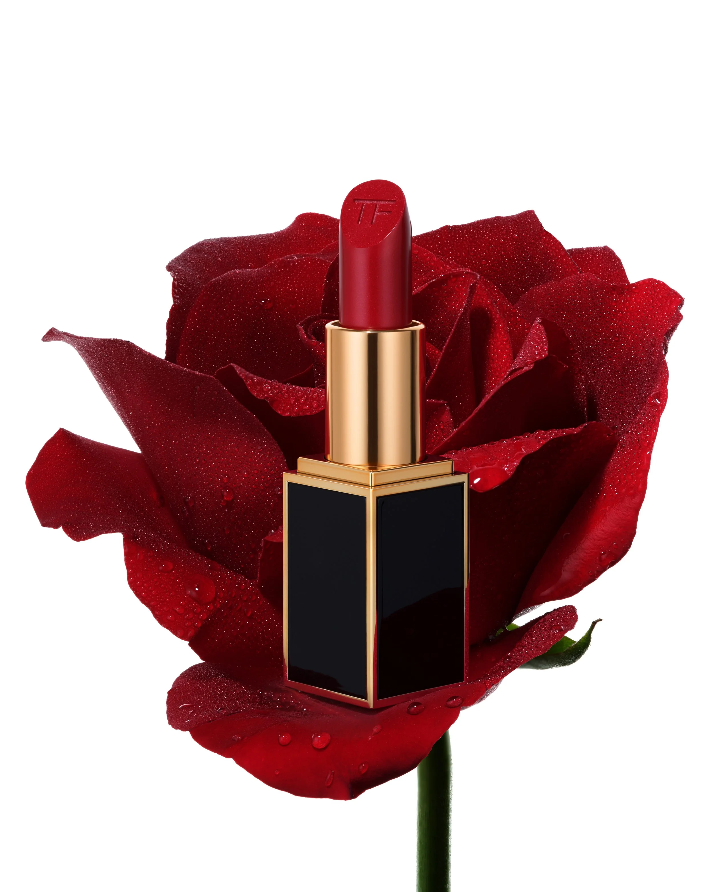 Роза 3 черный блик.jpg