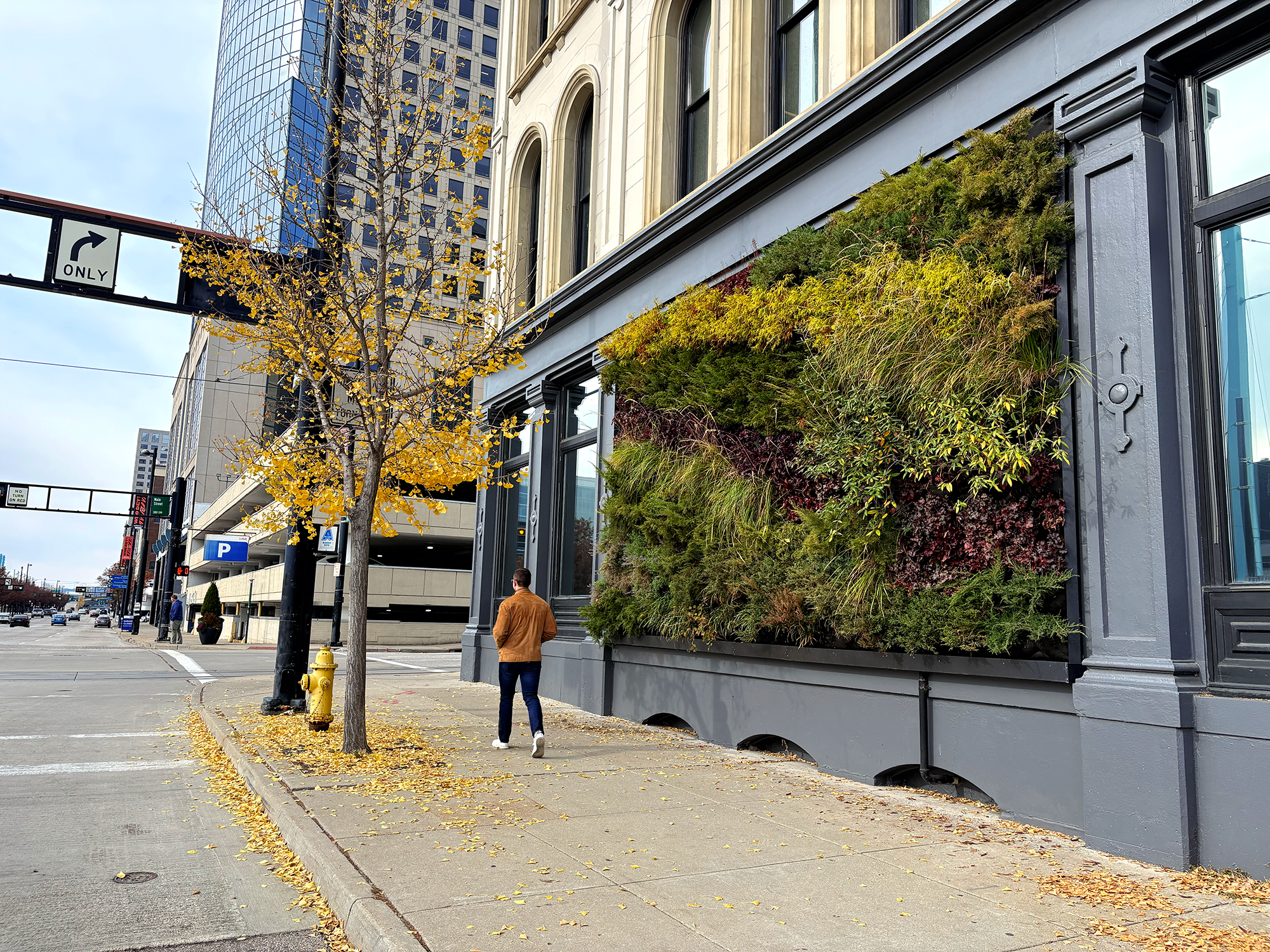 Copy of 300 main wide 4.png