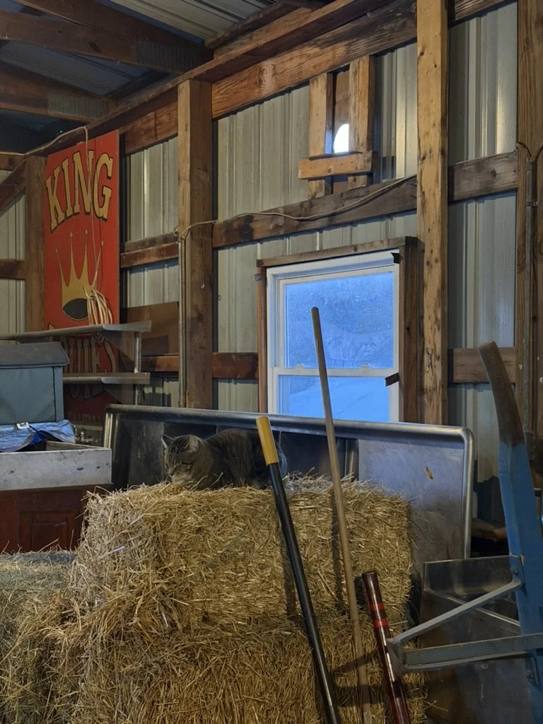 Blog #2, Spring 2026