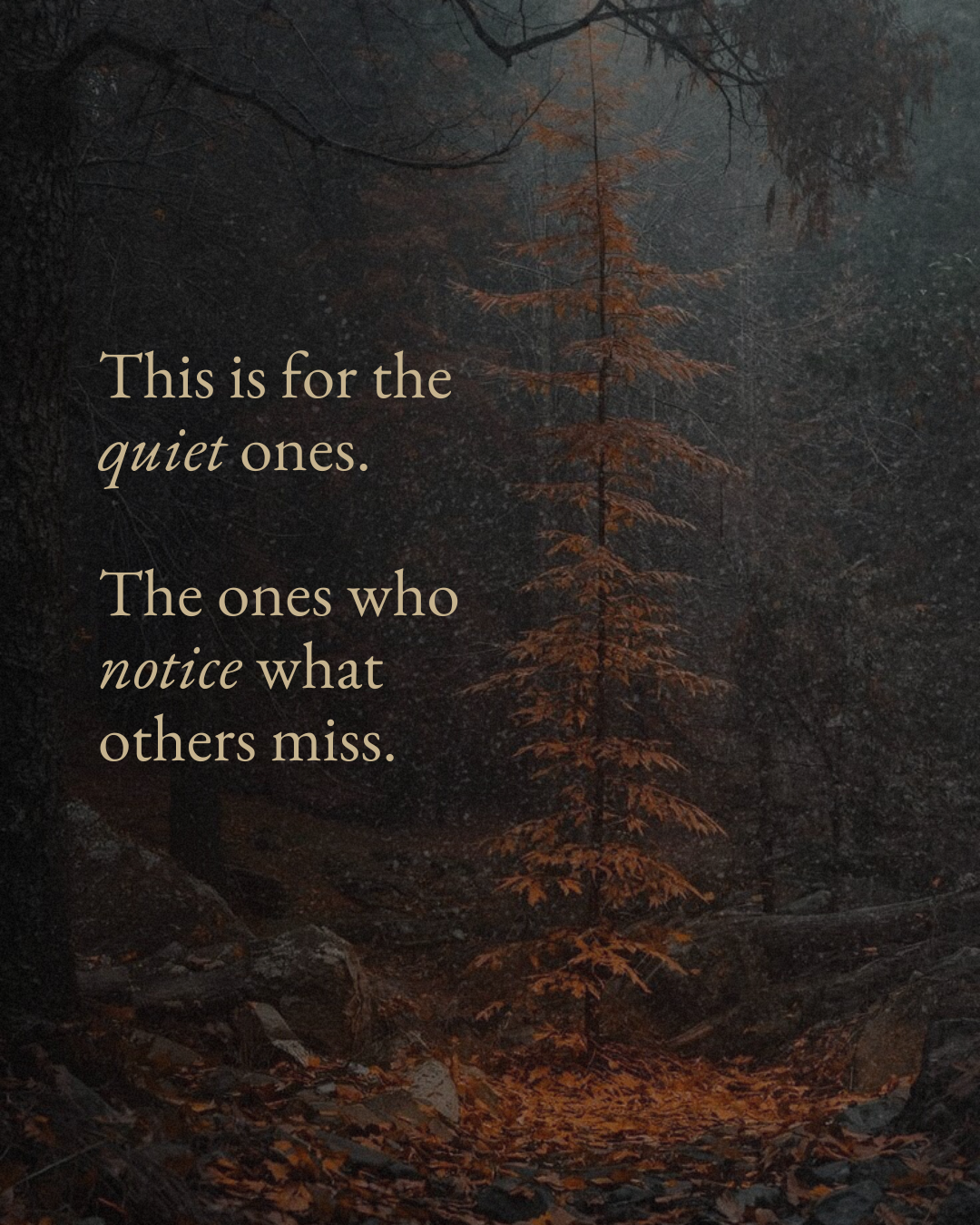 This Is For The Quiet Ones…