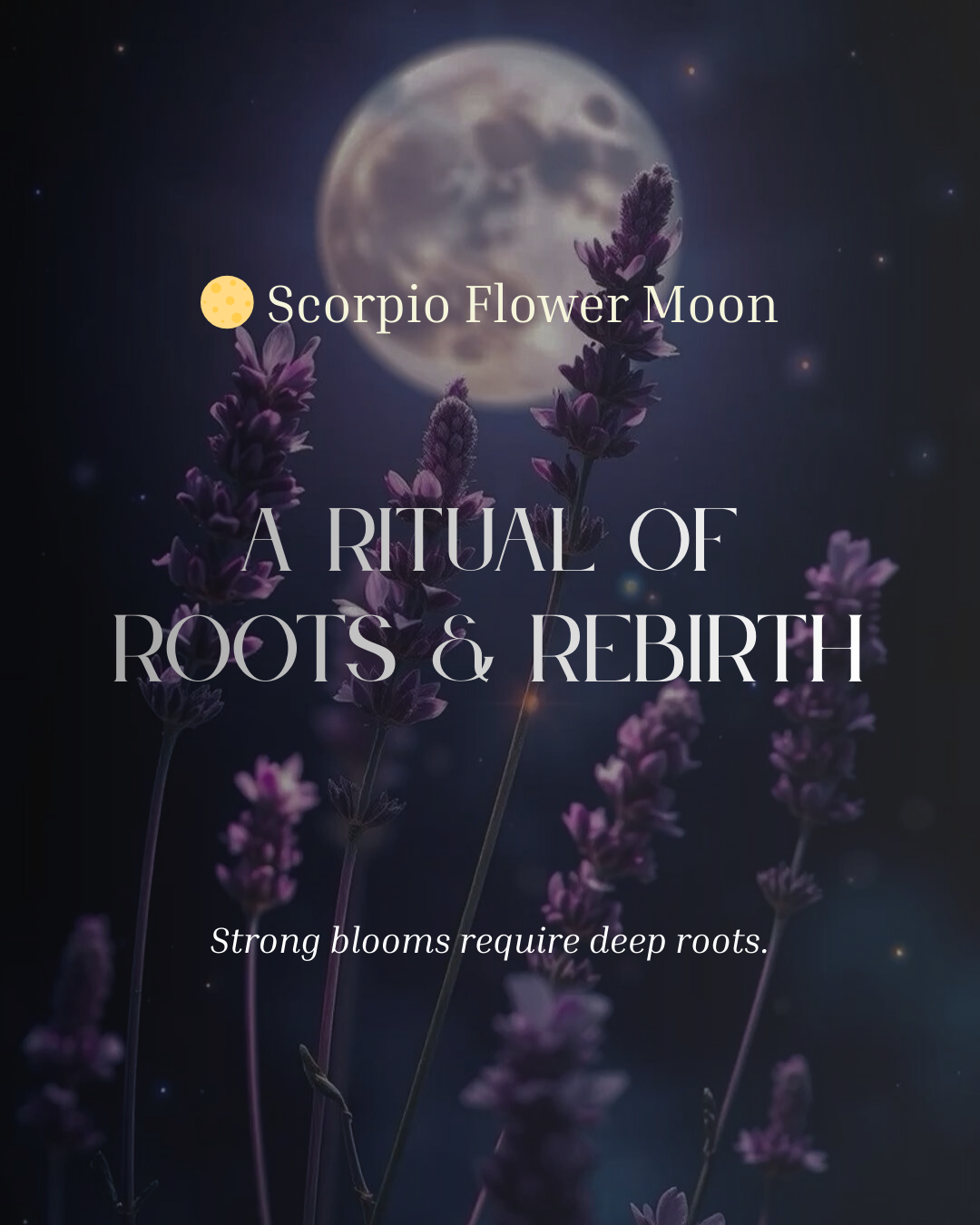 Under The Scorpio Flower Moon…