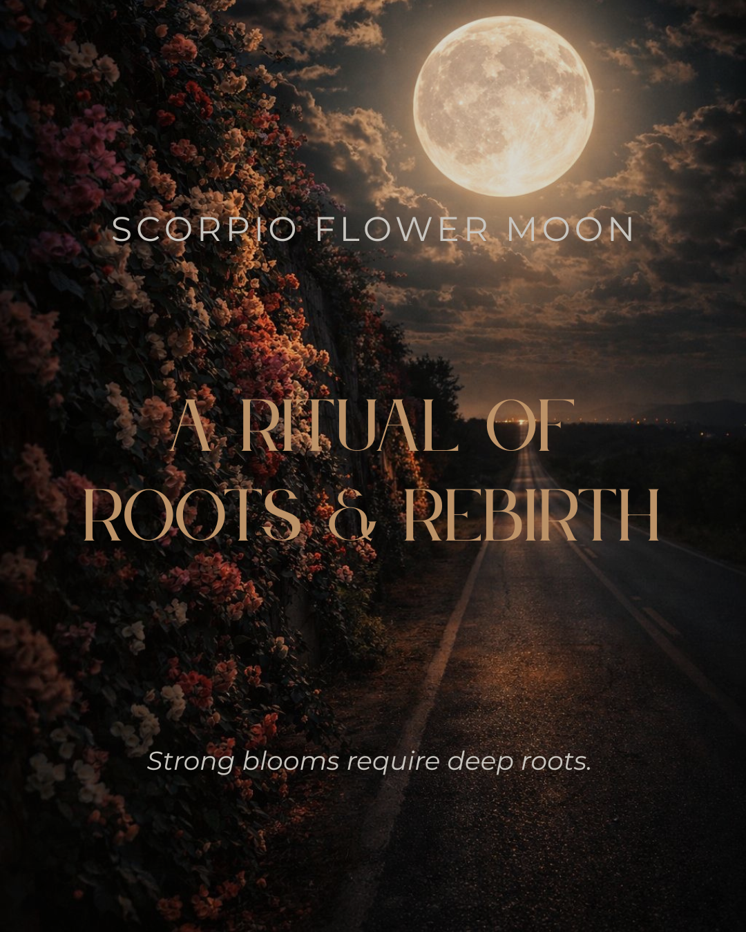 A Ritual of Roots &amp; Rebirth…