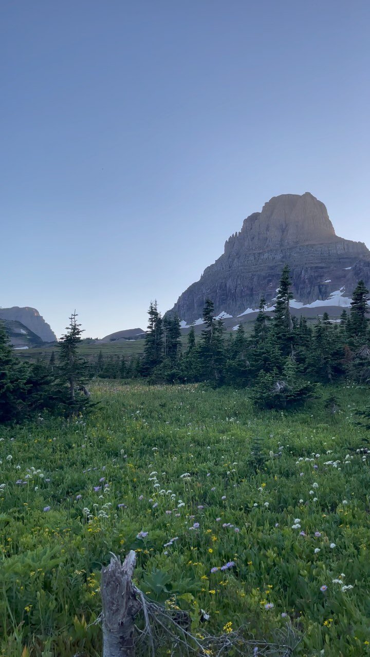 Summer clips from glacier:)
#Montana #glaciernationalpark #nationalpark