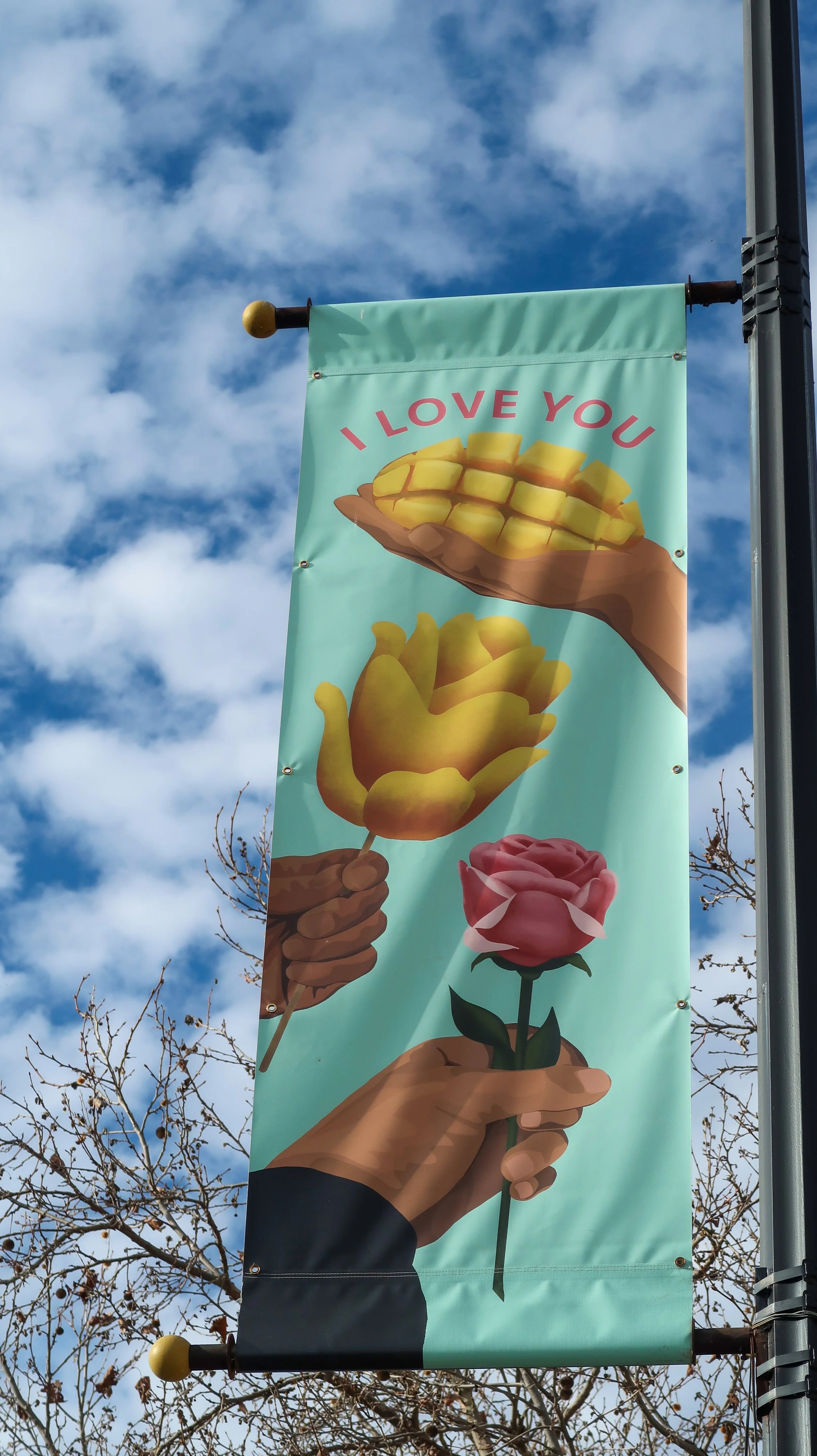 IMG_1885.JPG