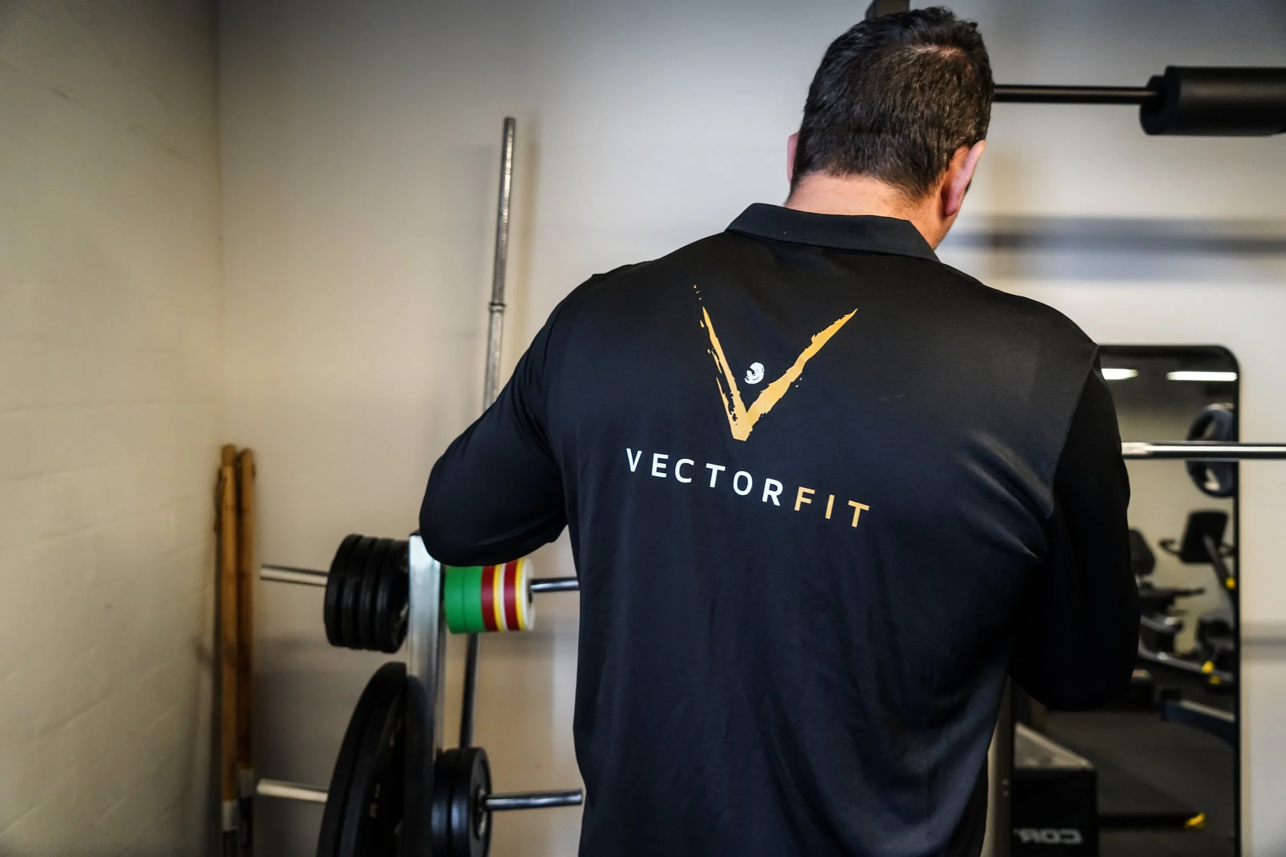 VectorFit