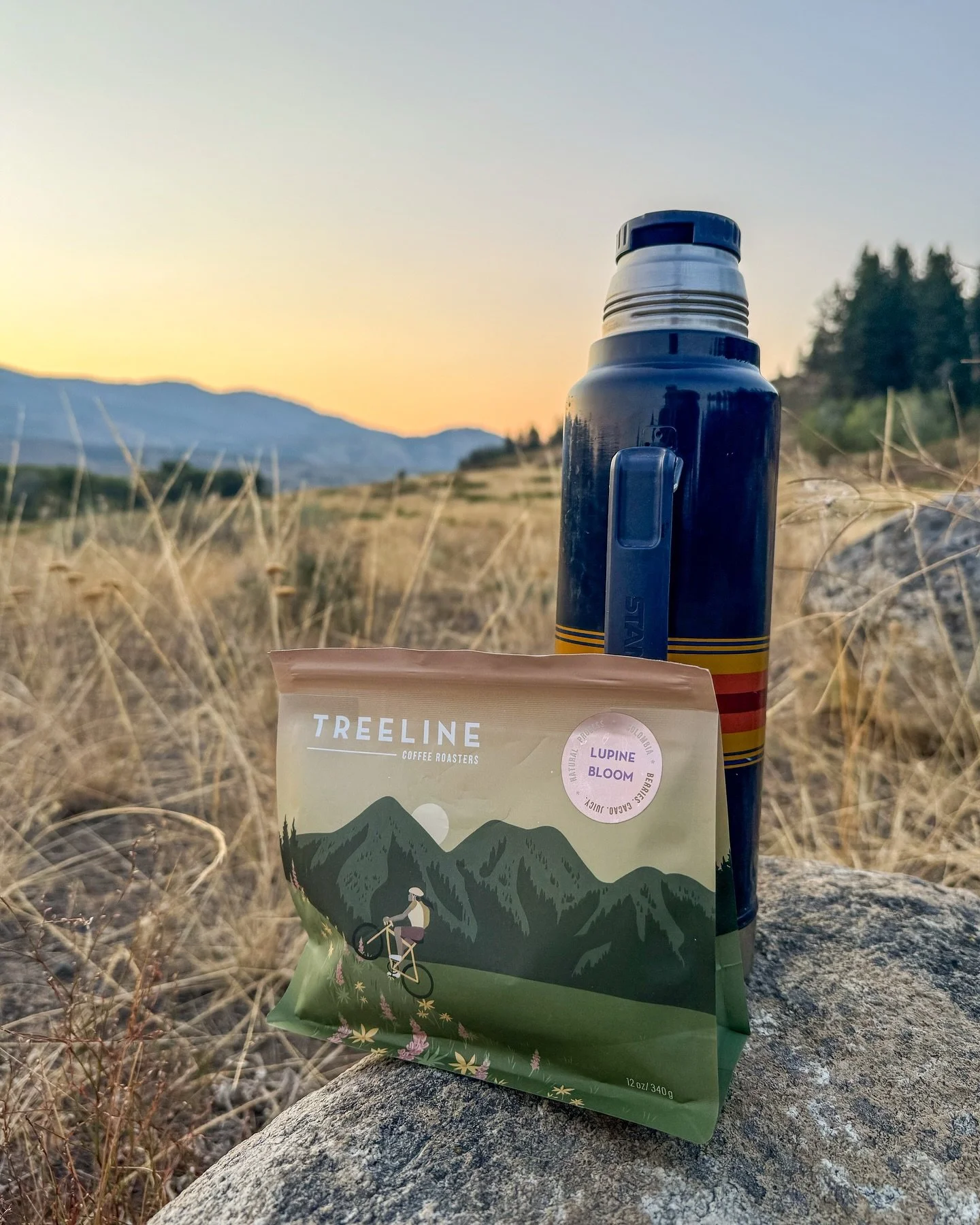 Good Morning! We are pouring a couple nice brews for a bit... If you can find us. 😎🌅☕️

The Lupine Bloom from Treeline has been one of our favorites this year! And we&rsquo;ve got a tiny bit of this elegant Yirgacheffe left. 

Miss out? Stayed tune