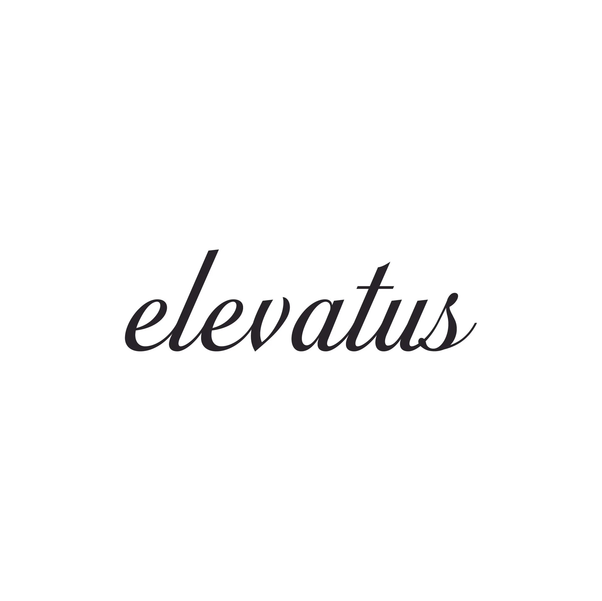 The word "elevatus" written in black, cursive script on a white background.