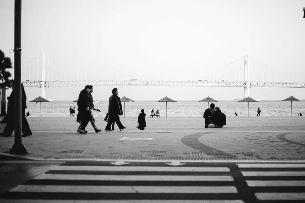 Busan_First_Looks-2-2.jpg