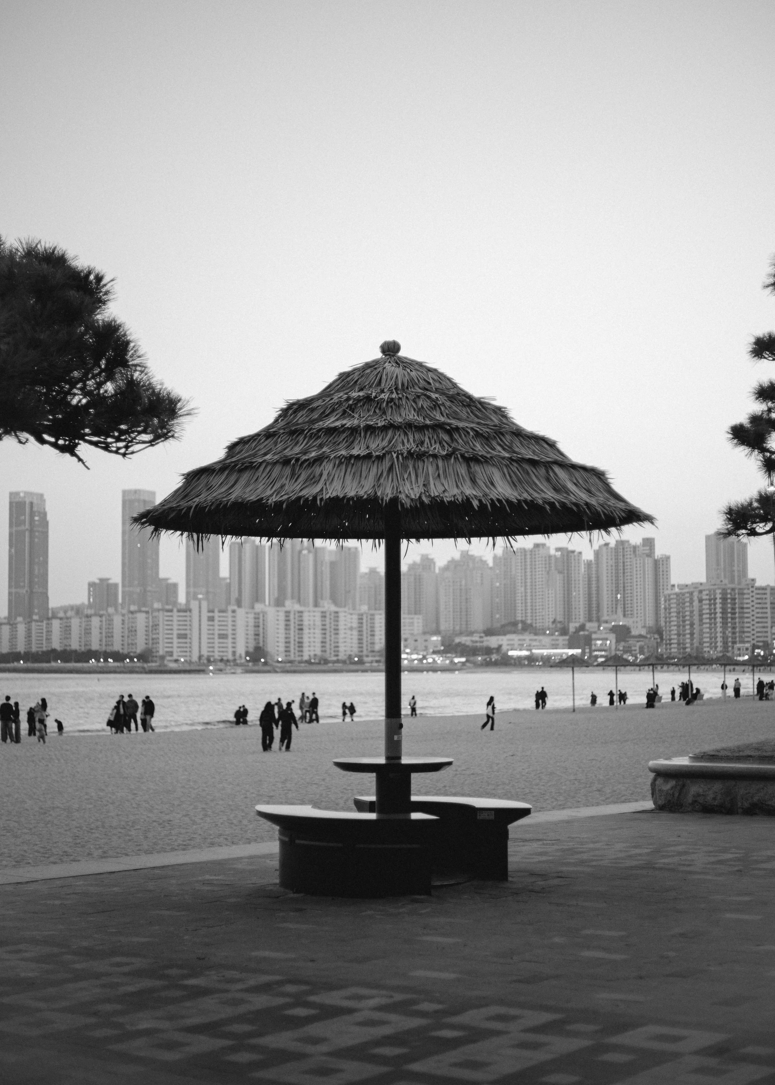 Busan_First_Looks-14.jpg