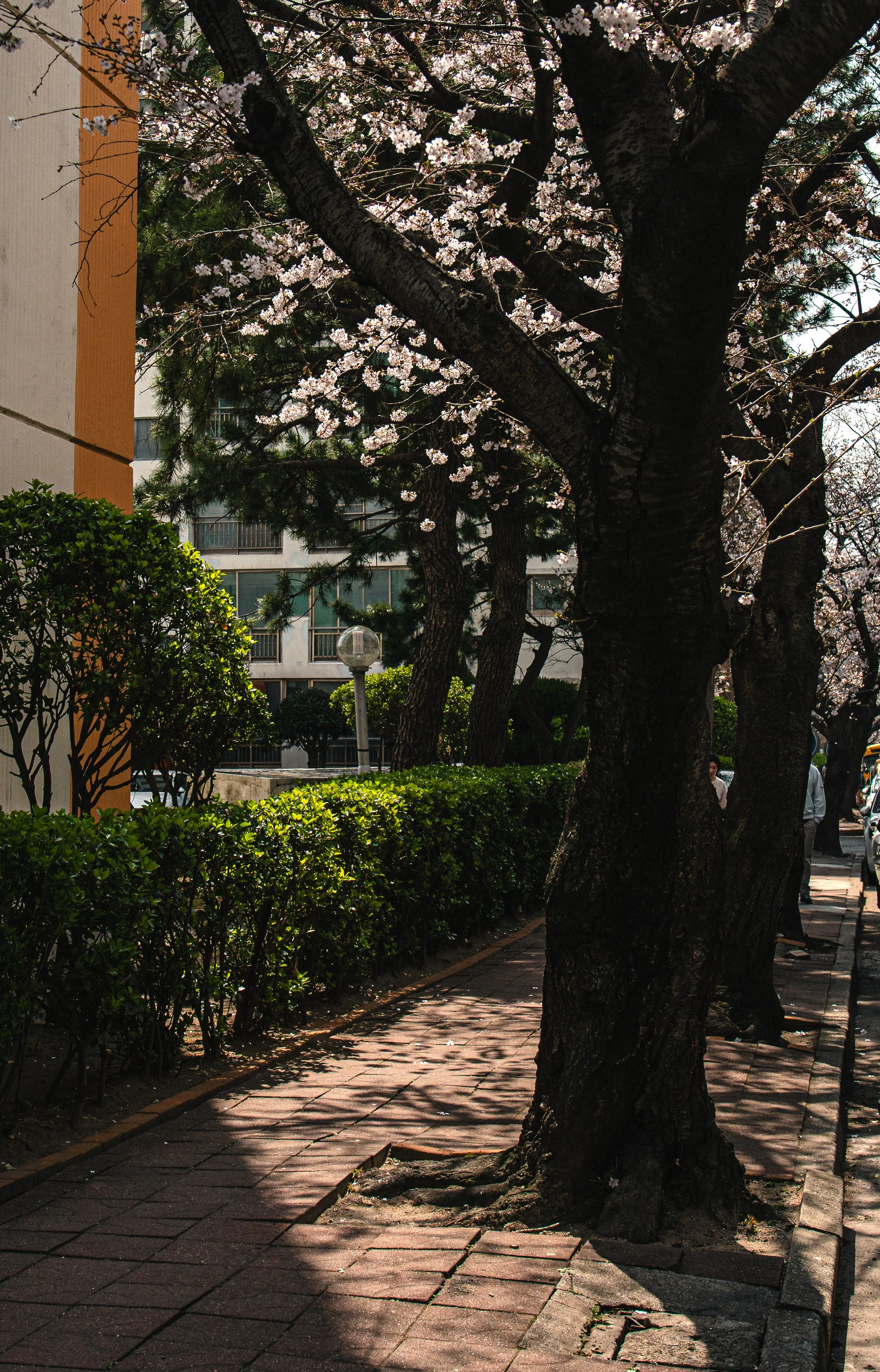 2026_03_Busan_EO-64.jpg