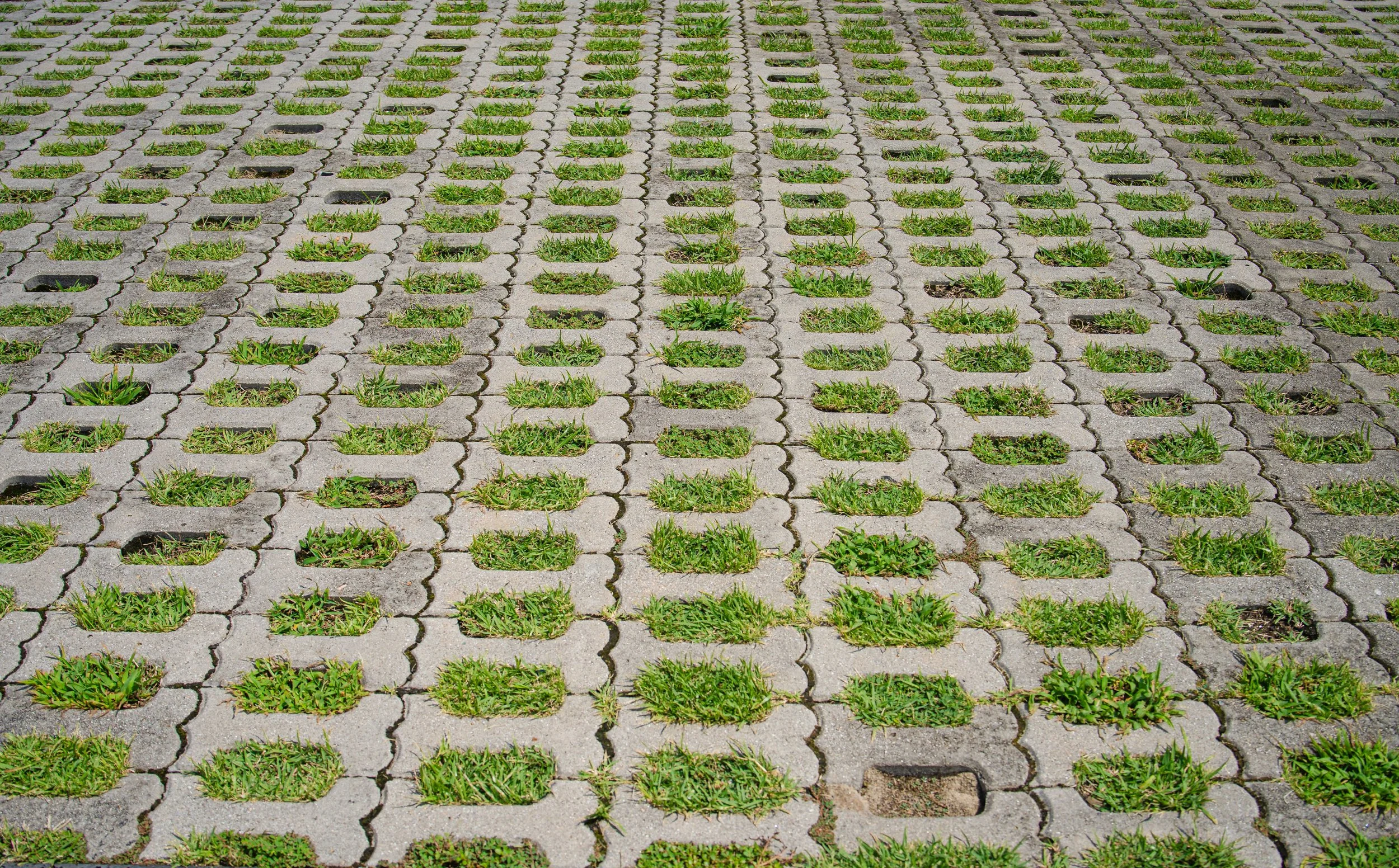 Jeju, South Korea - 2025-36.jpg