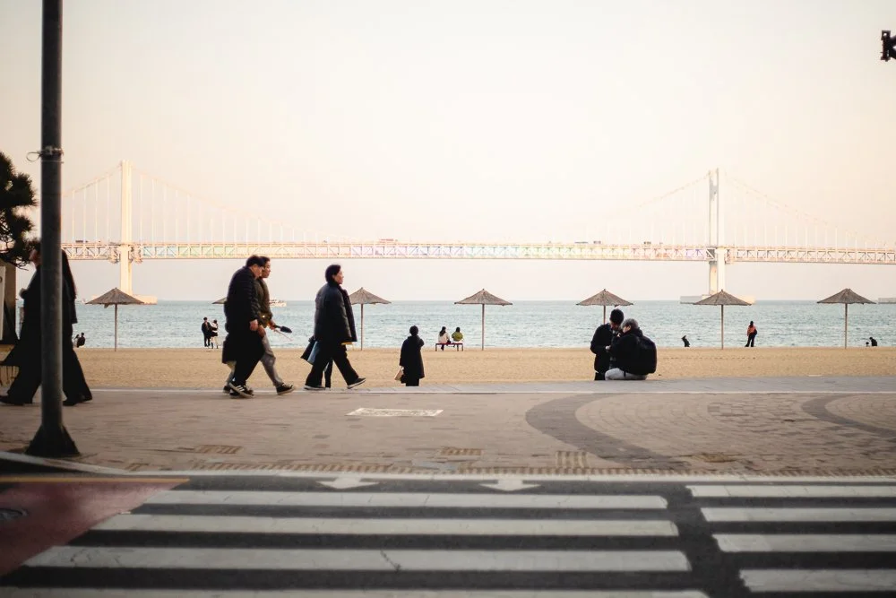 Busan_First_Looks-2.jpg