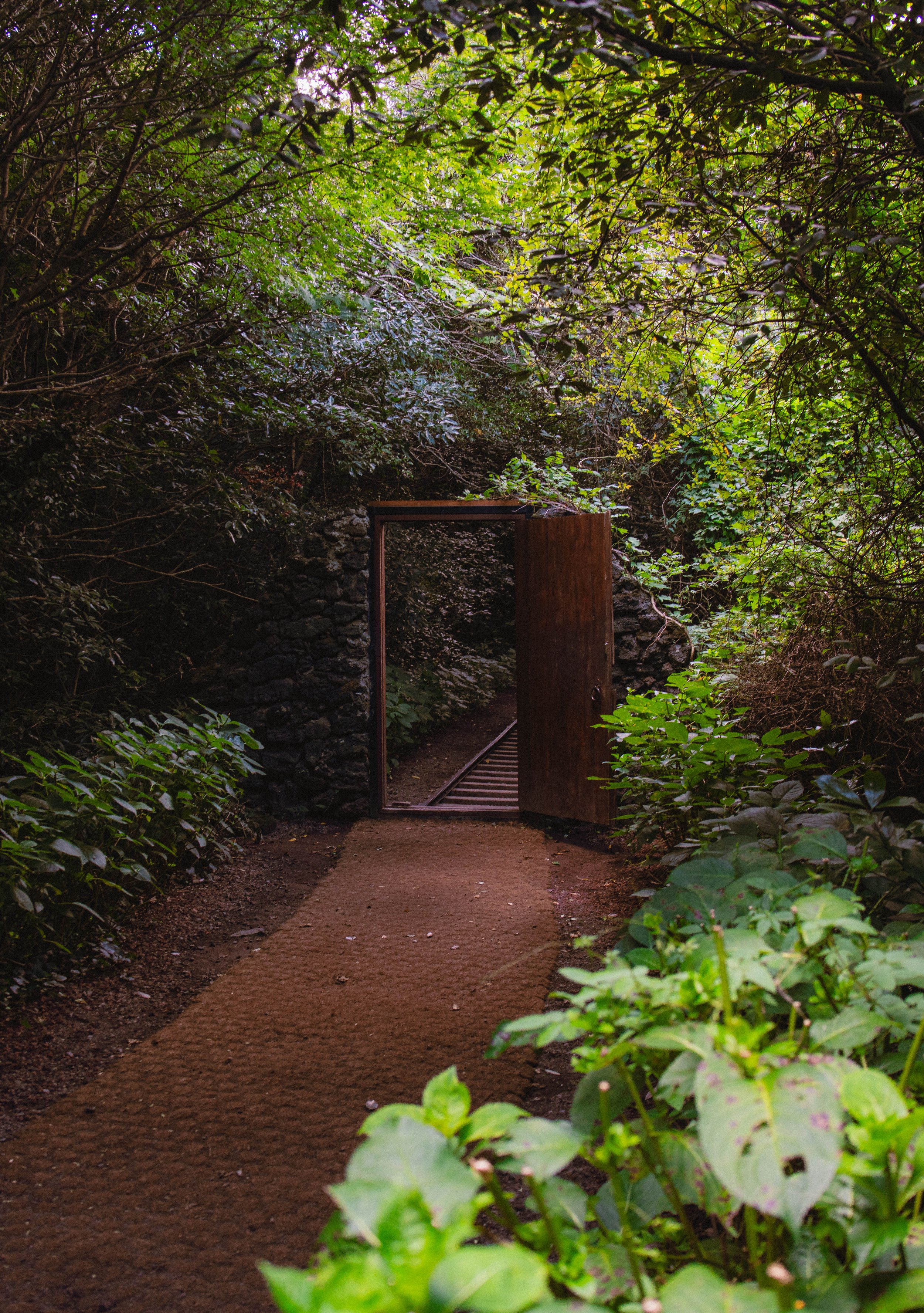 Jeju, South Korea - 2025-78.jpg