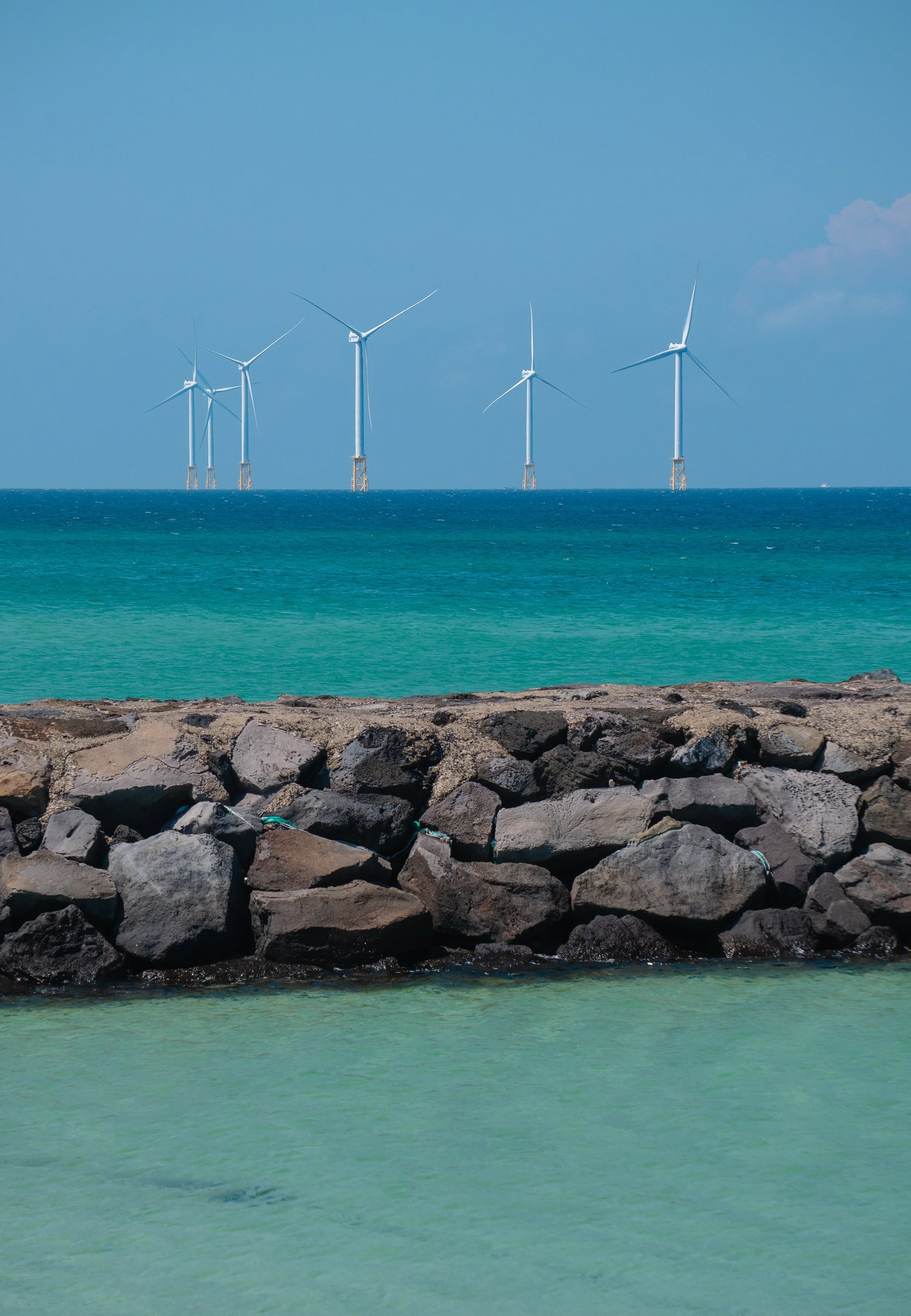 Jeju, South Korea - 2025-20.jpg