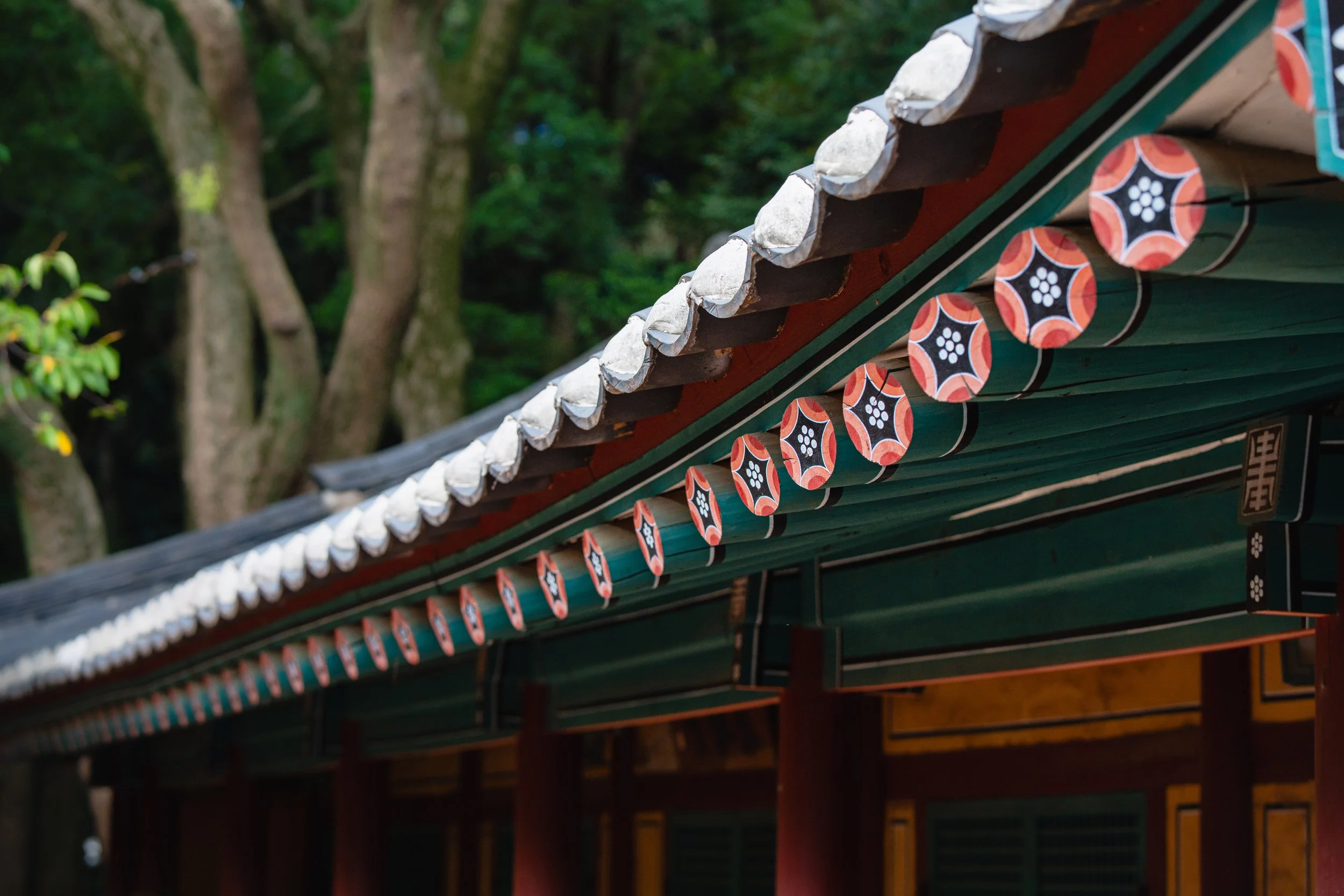 Jeju, South Korea - 2025-11.jpg