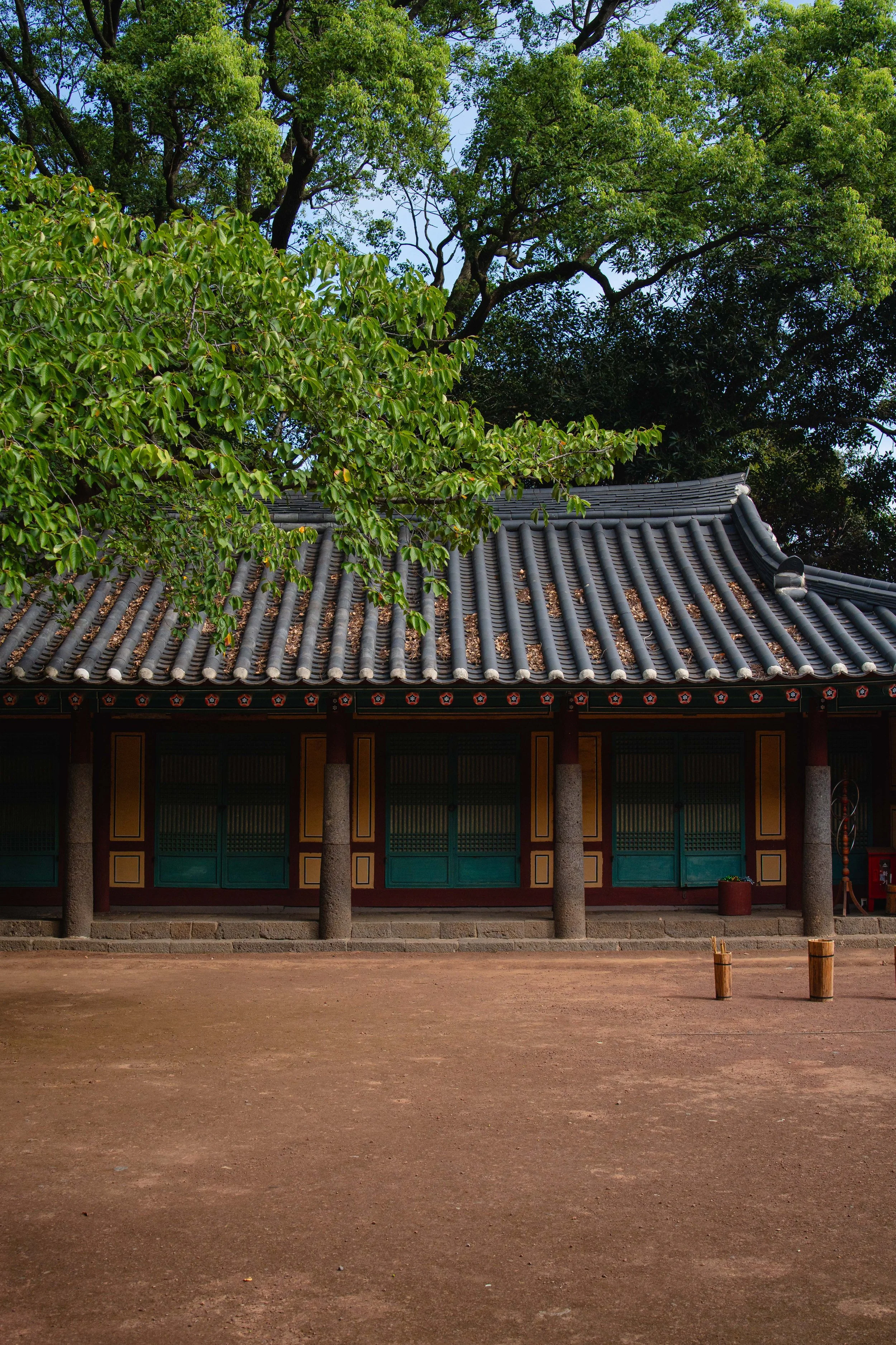 Jeju, South Korea - 2025-8.jpg