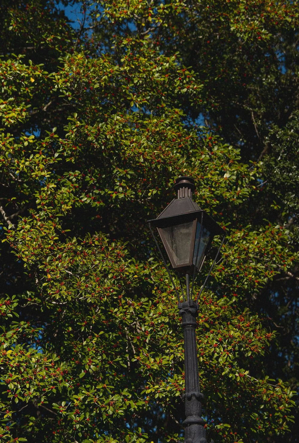 NOLA_TRIP-10.jpg