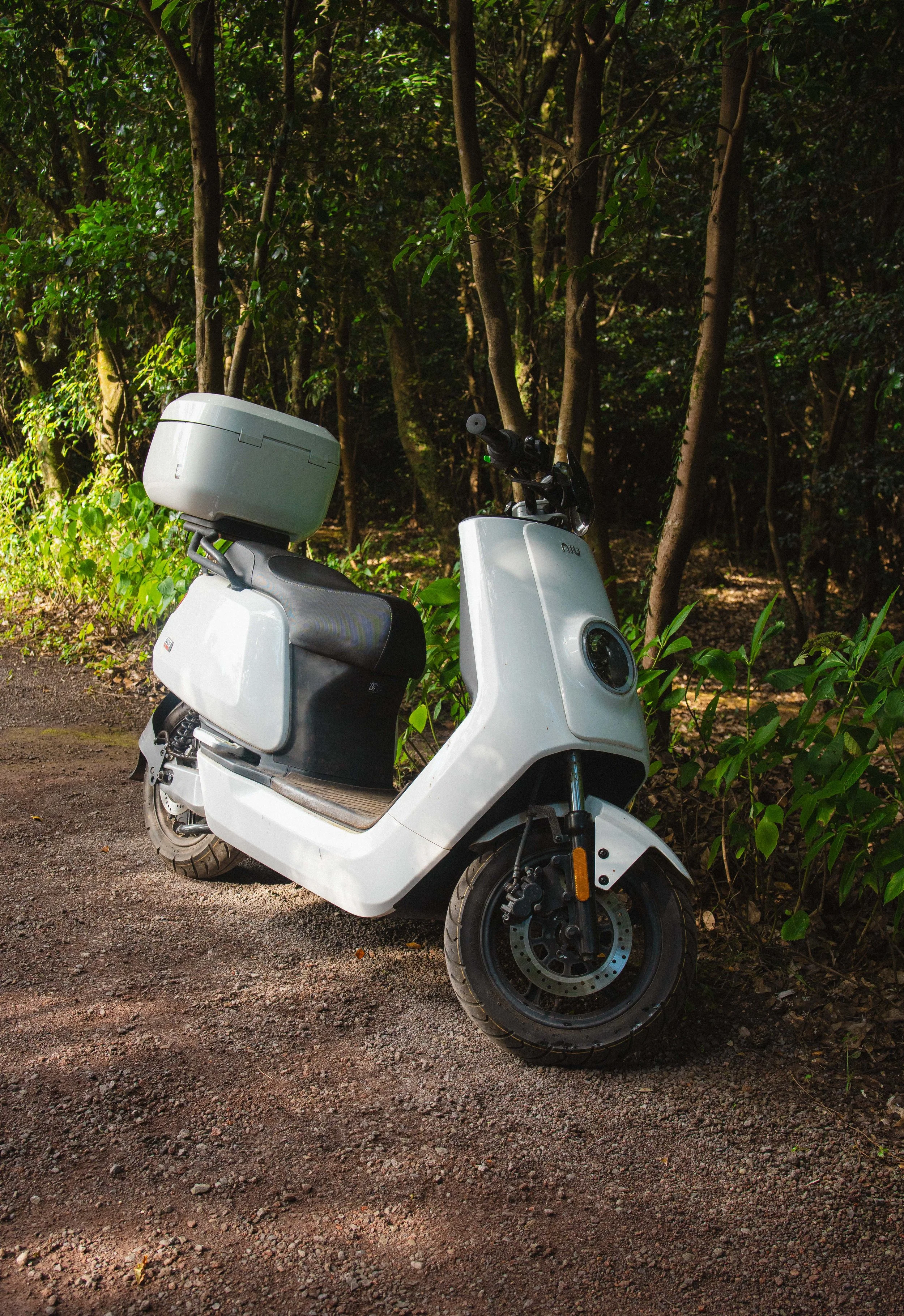 Jeju, South Korea - 2025-76.jpg