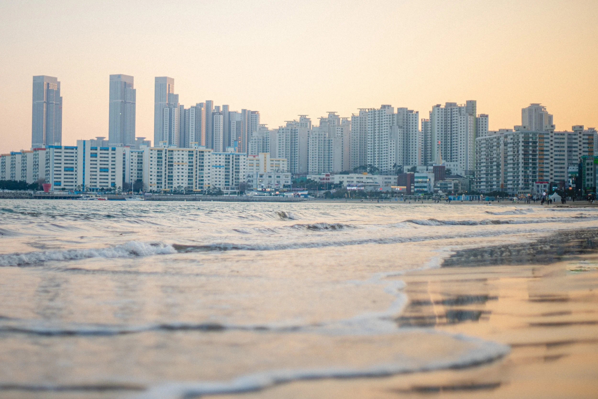Busan_First_Looks-5.jpg