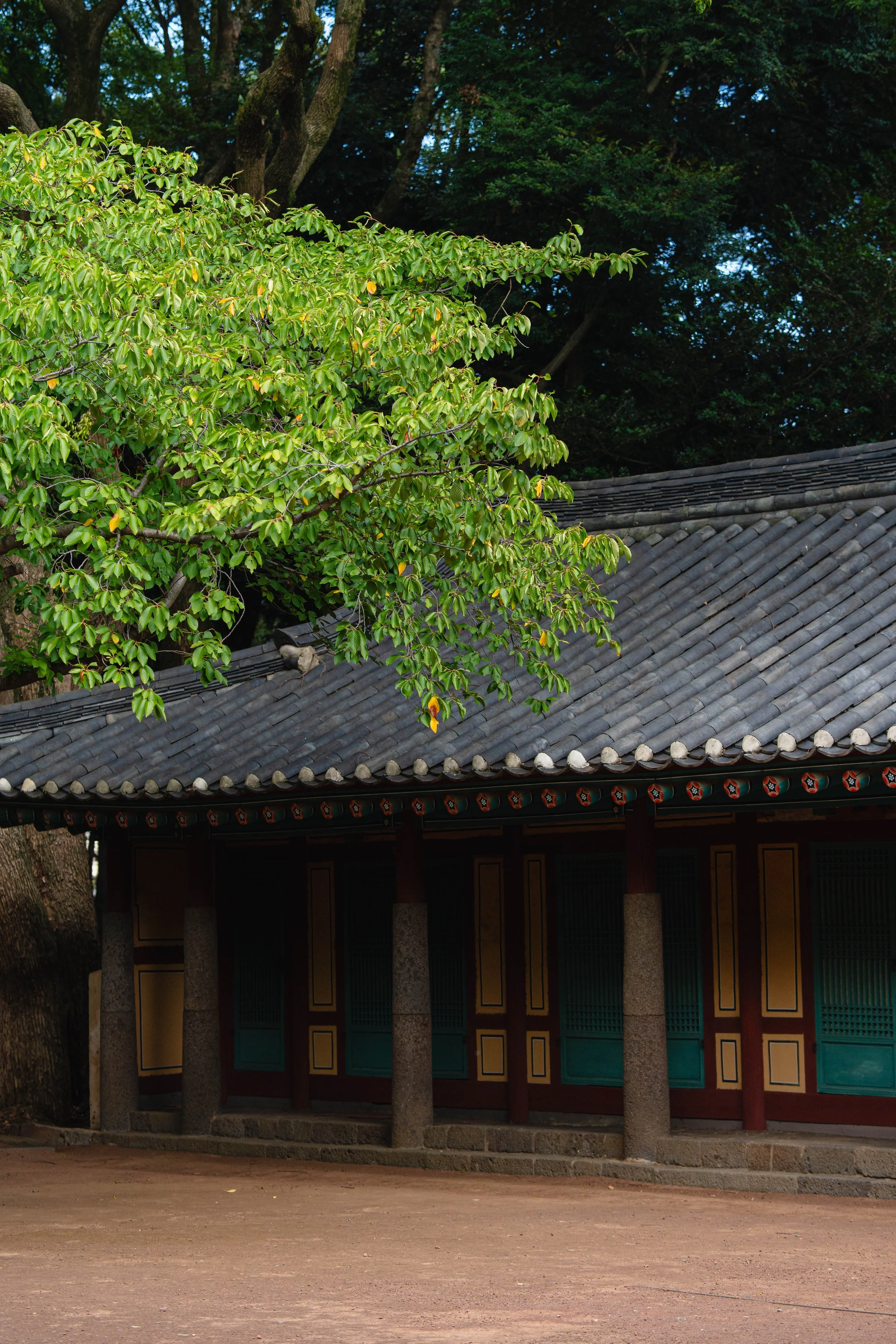 Jeju, South Korea - 2025-12.jpg