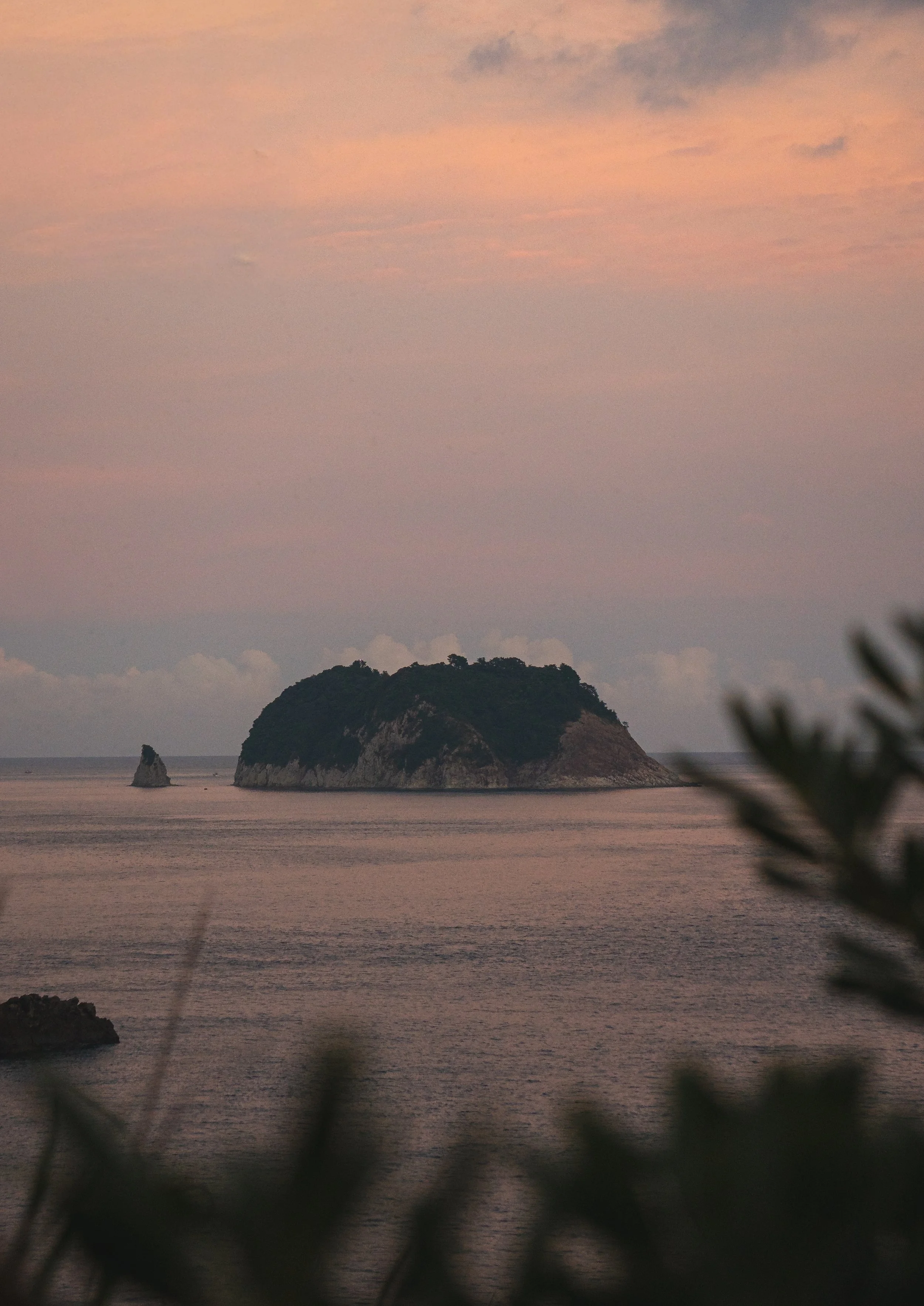 Jeju, South Korea - 2025-30.jpg